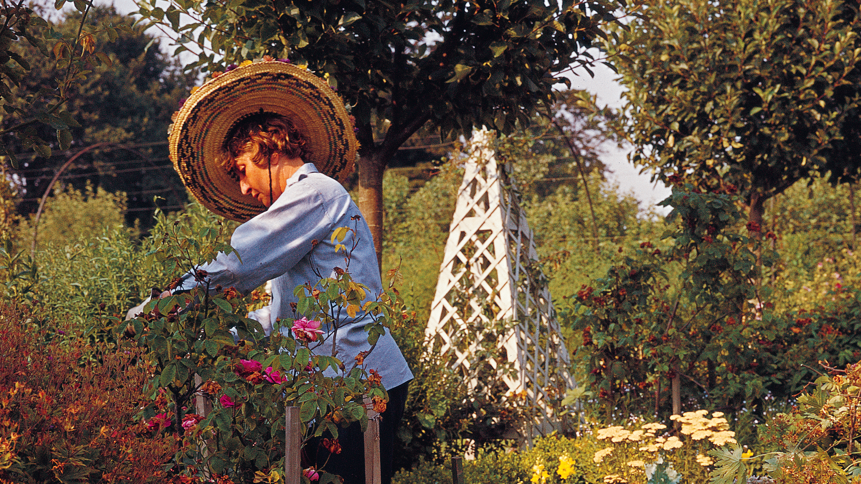 Nine Essential Books for Every Garden Enthusiast