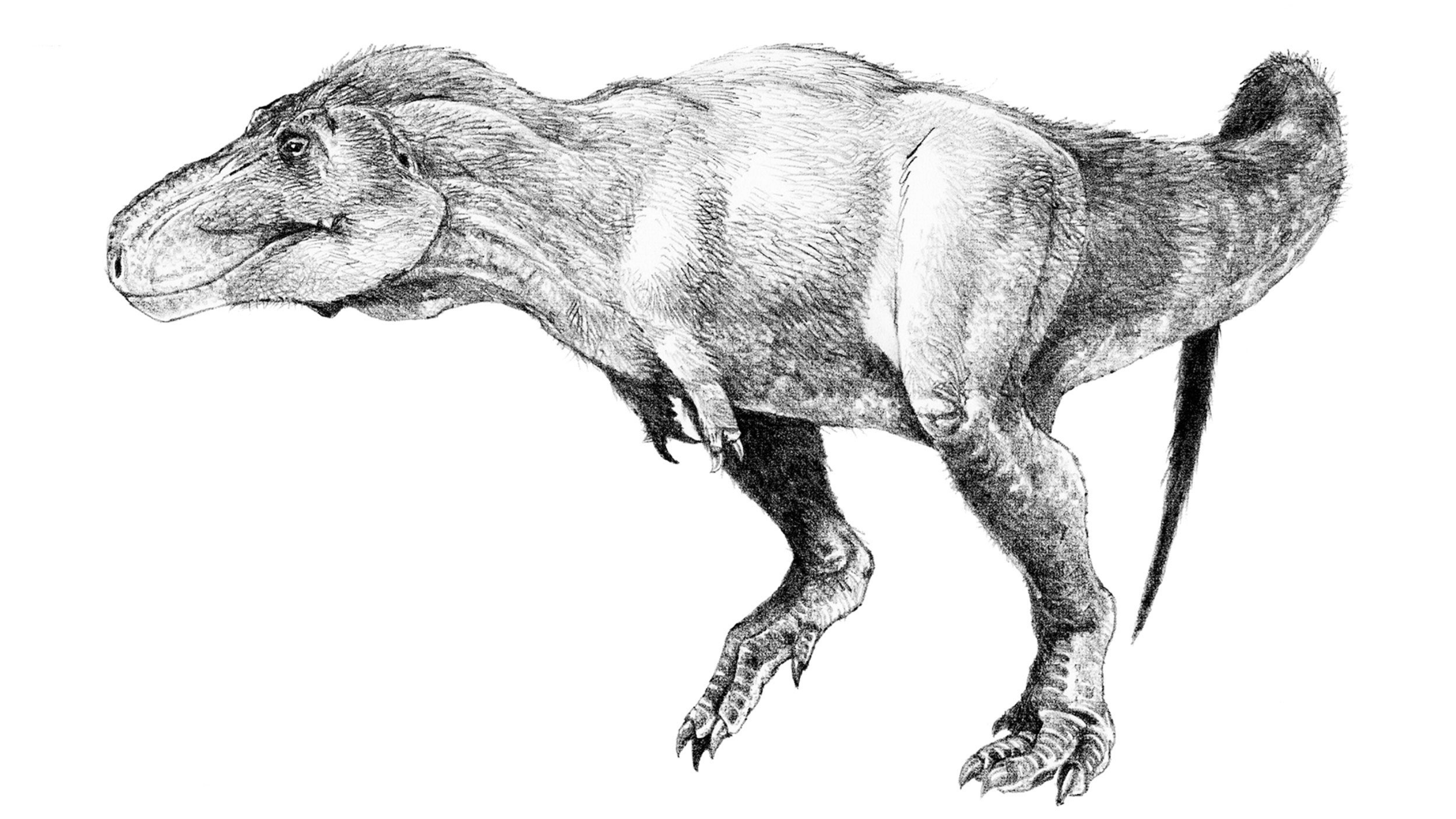 Top Ten Dinosaur Discoveries