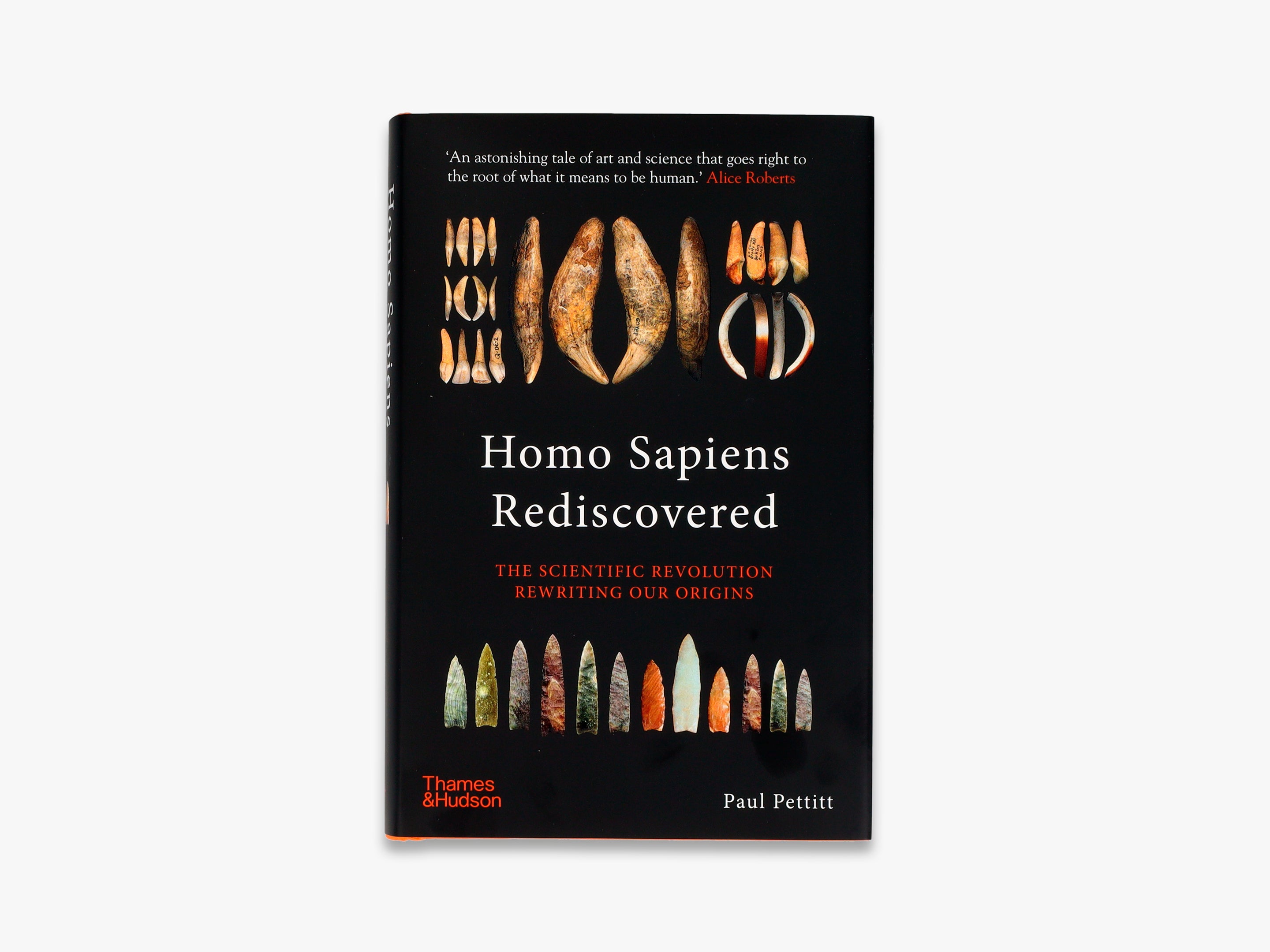 Homo Sapiens Rediscovered