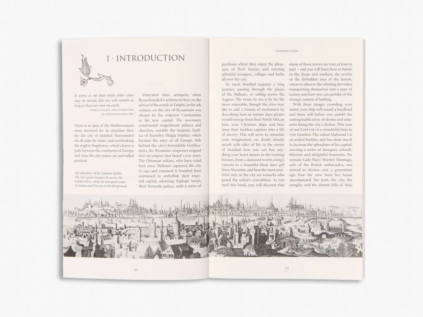 Istanbul on Five Kurush a Day