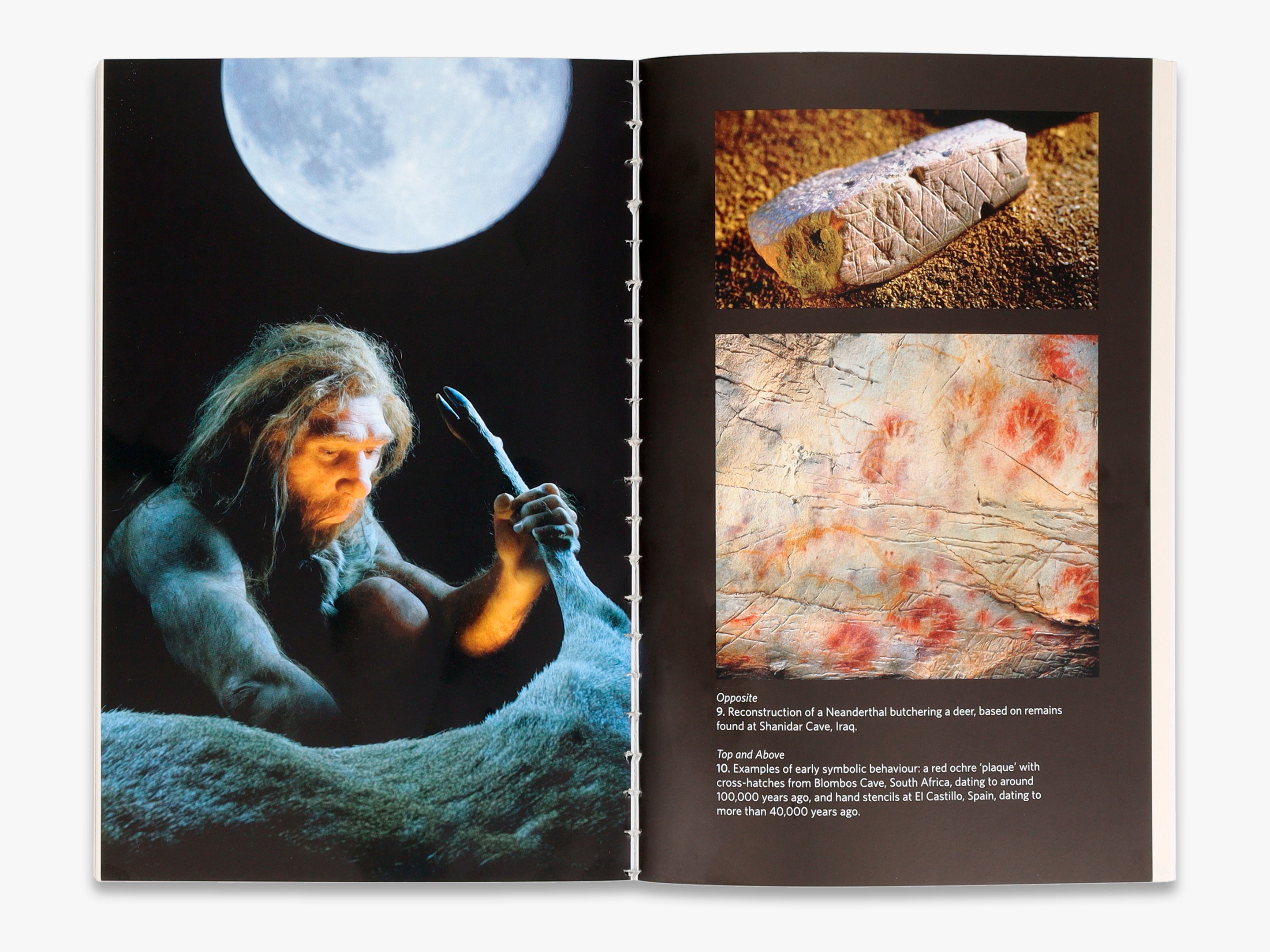 The Neanderthals Rediscovered