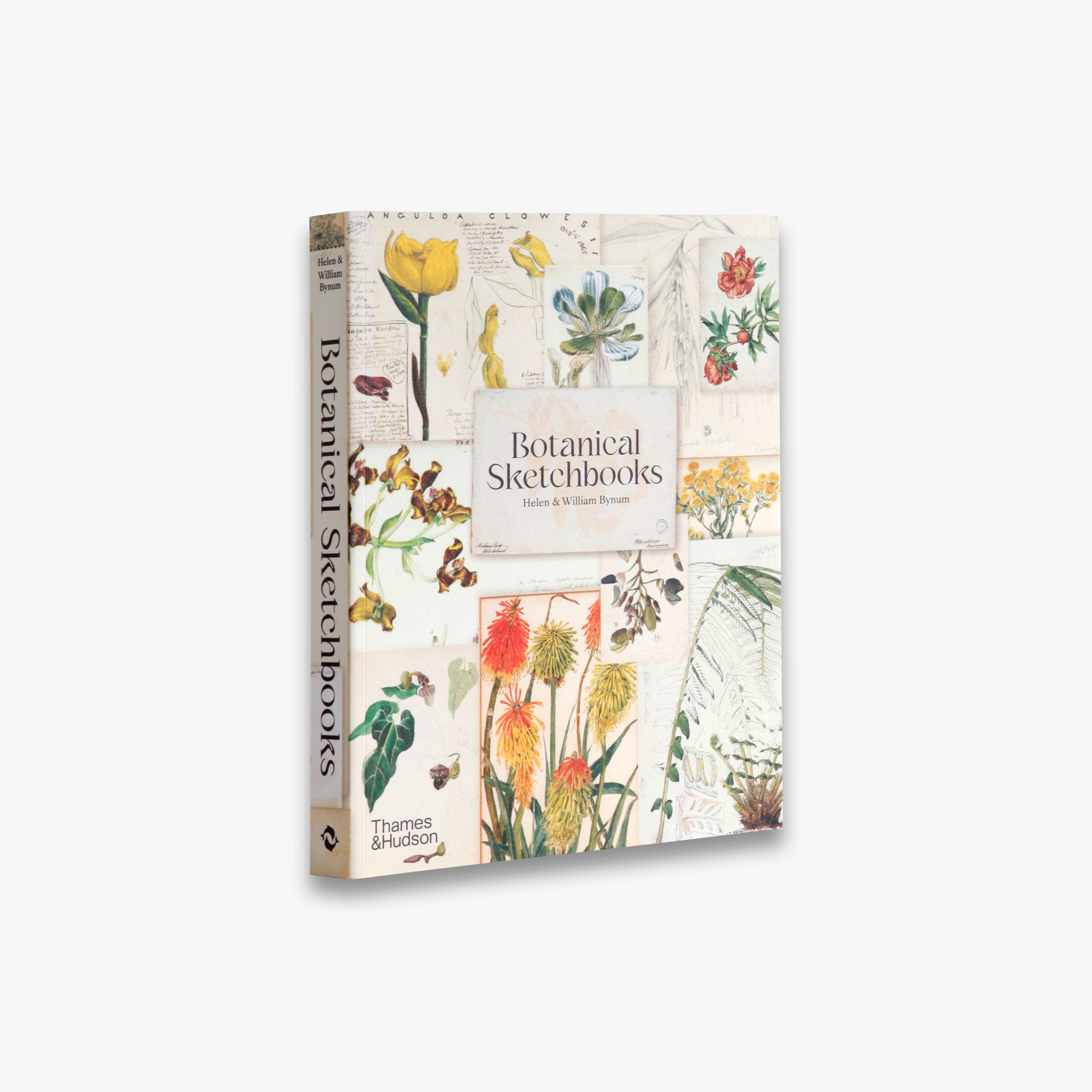 Botanical Sketchbooks 植物　スケッチ　絵画　洋書 9780500297186_botanical-