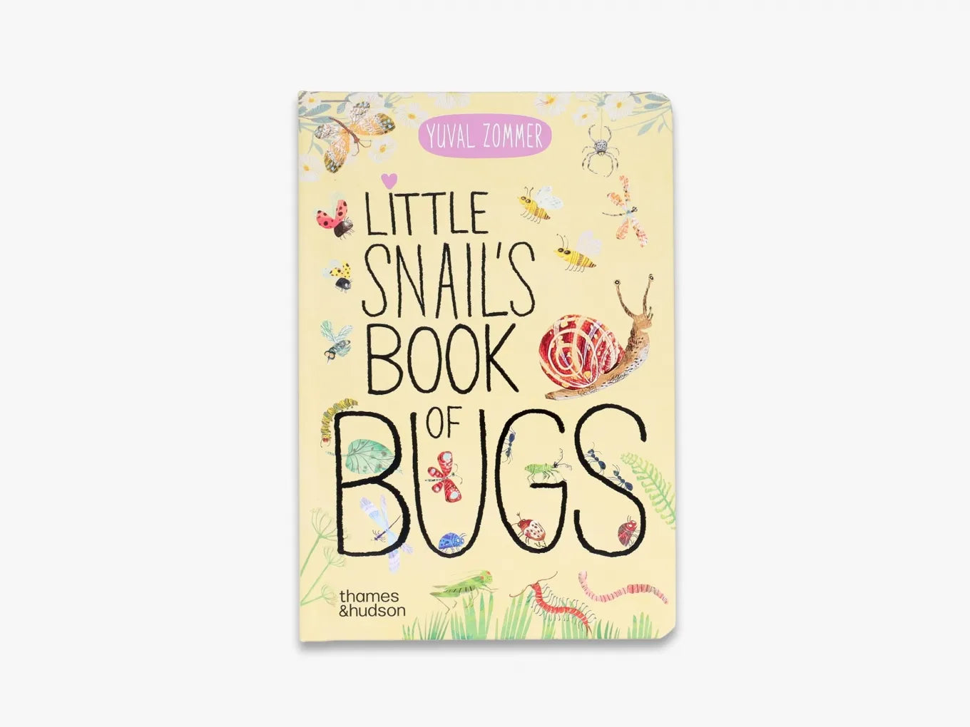 Little Snail's Book of Bugs (The Big Book series)