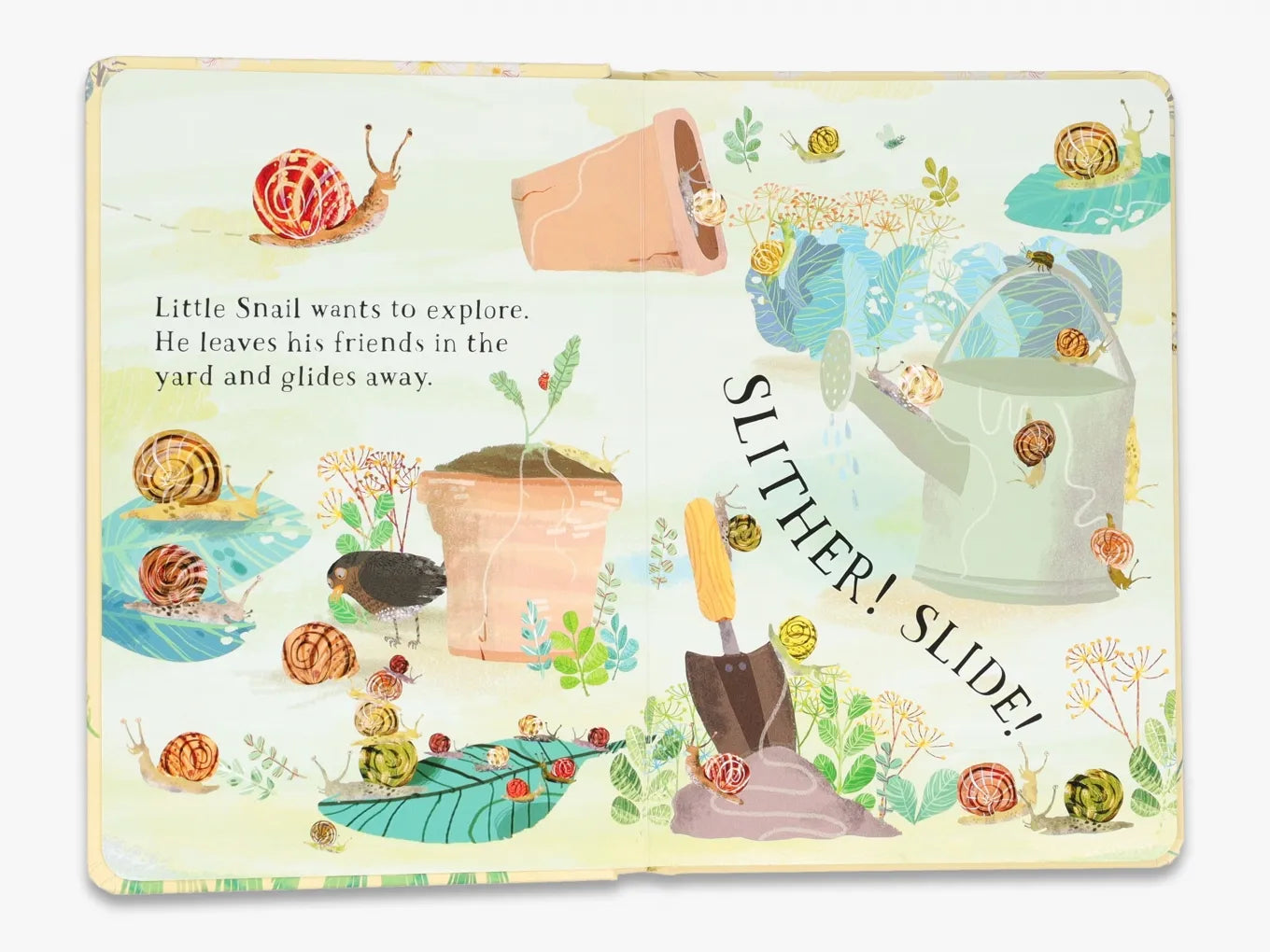Little Snail's Book of Bugs (The Big Book series)