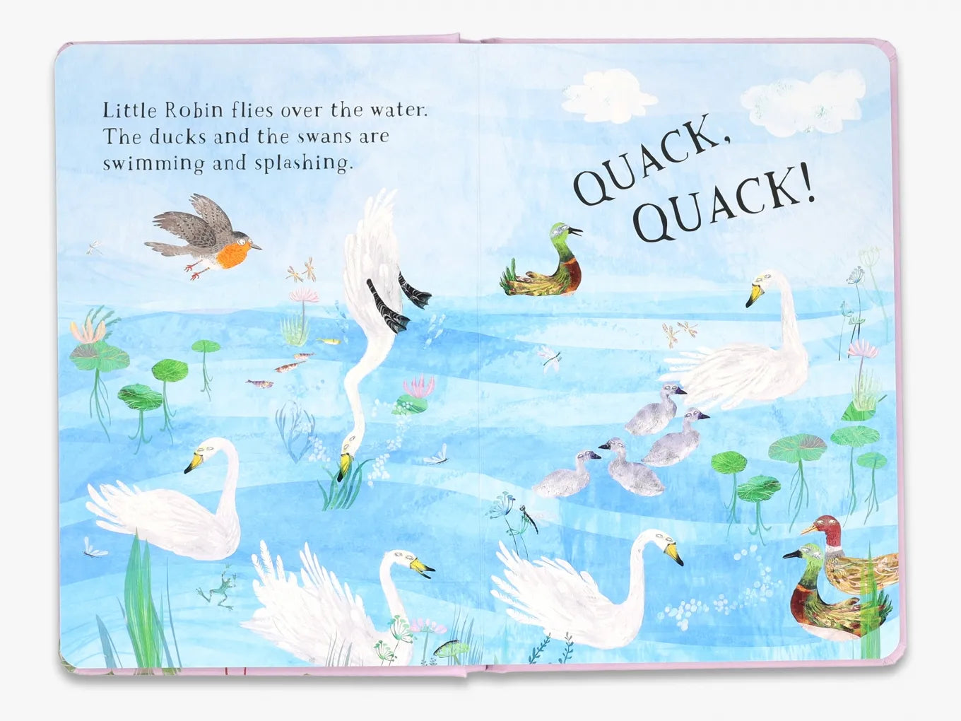 Little Robin's Book of Birds (The Big Book series)