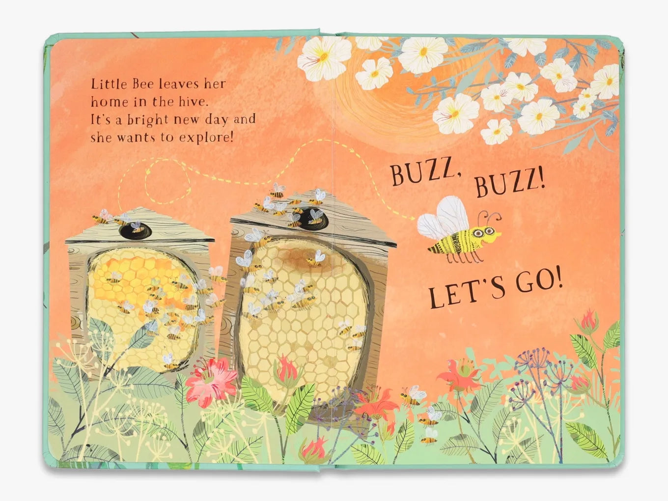 Little Bee's Book of Blooms (The Big Book series)