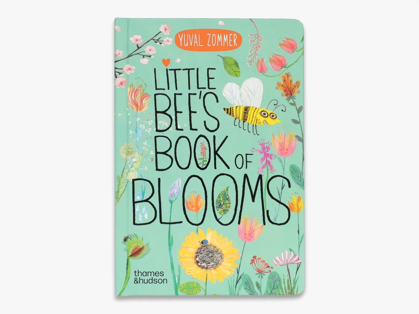 Little Bee's Book of Blooms (The Big Book series)