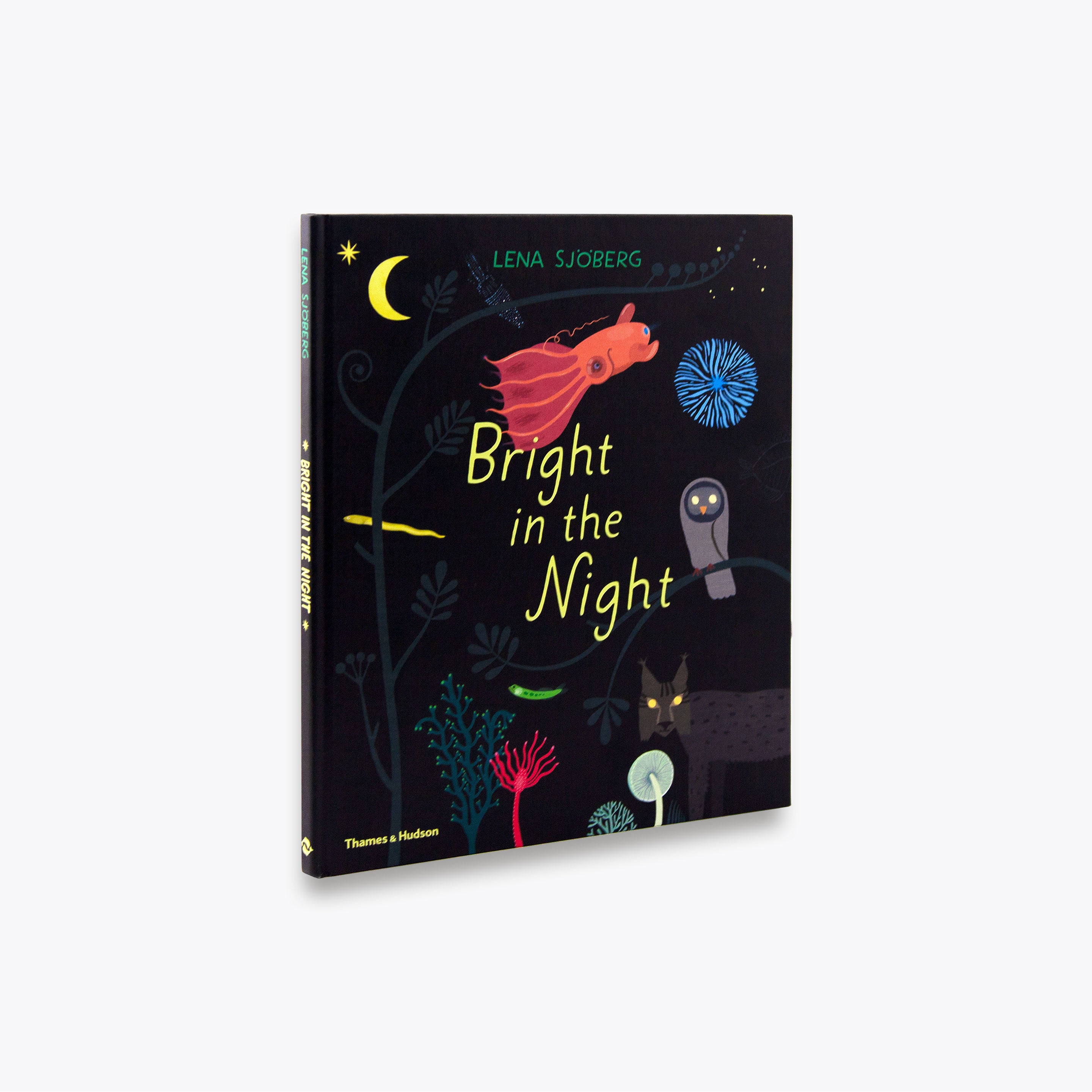 9780500652190_bright-in-the-