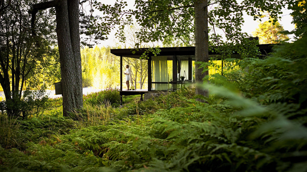 Eco-friendly living: Best books on sustainable architecture