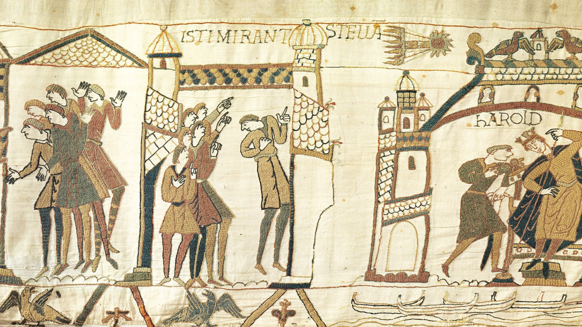 Michael Lewis and David Musgrove on the Mysteries of the Bayeux Tapestry