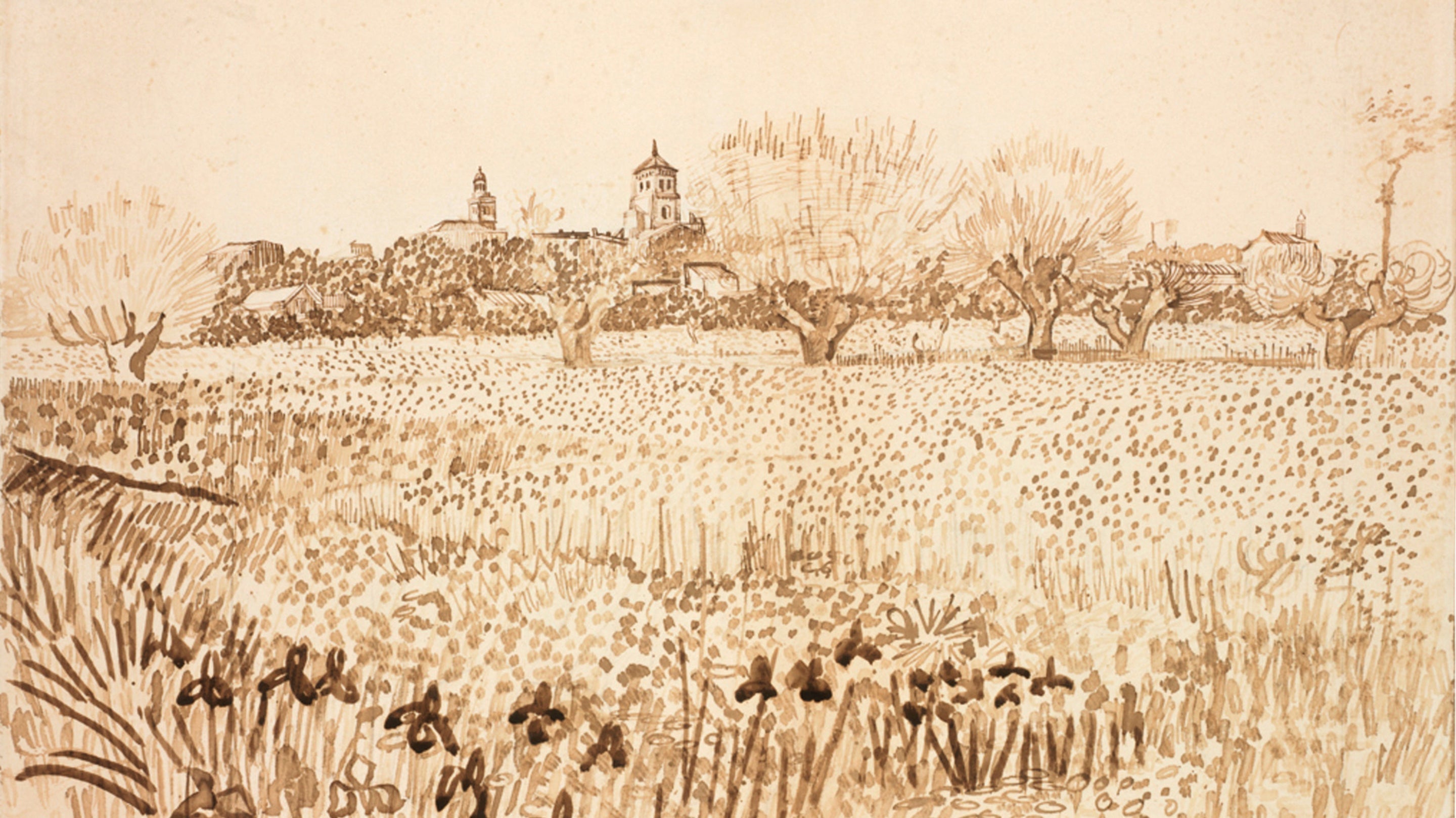 Beyond the Paintings: Van Gogh’s Drawings