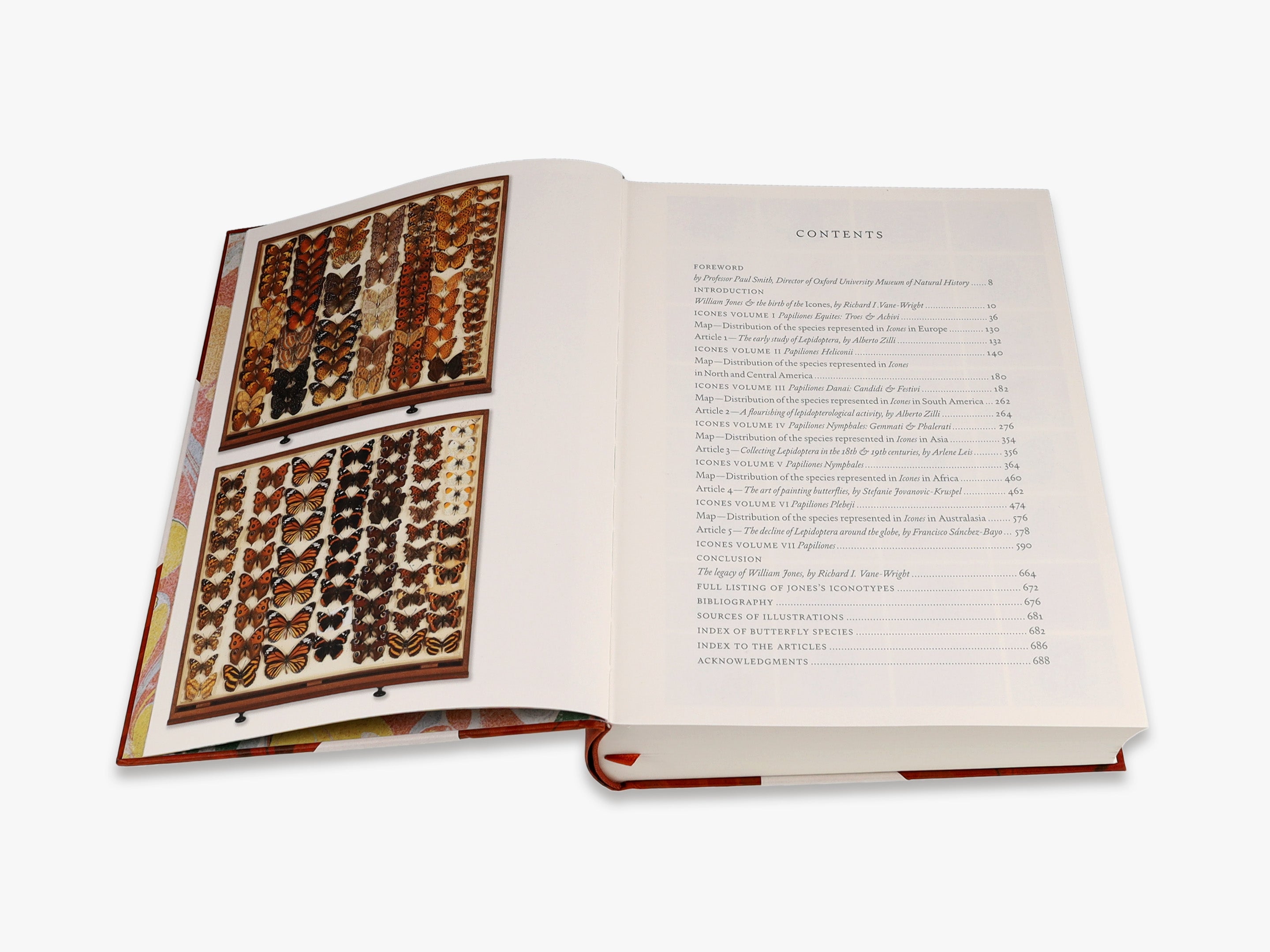 Iconotypes