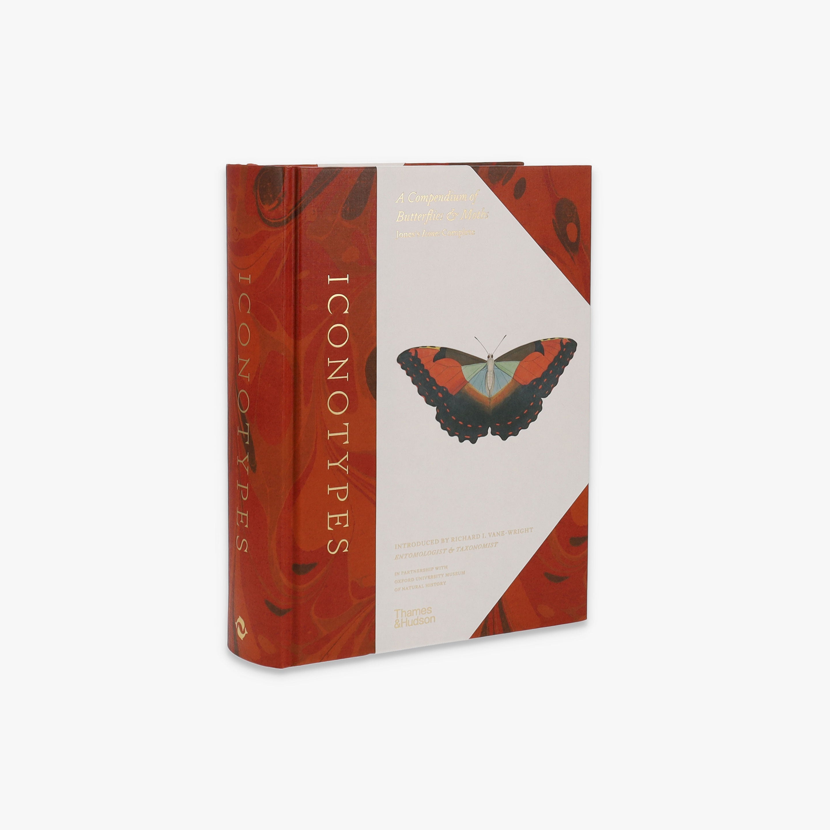 Iconotypes