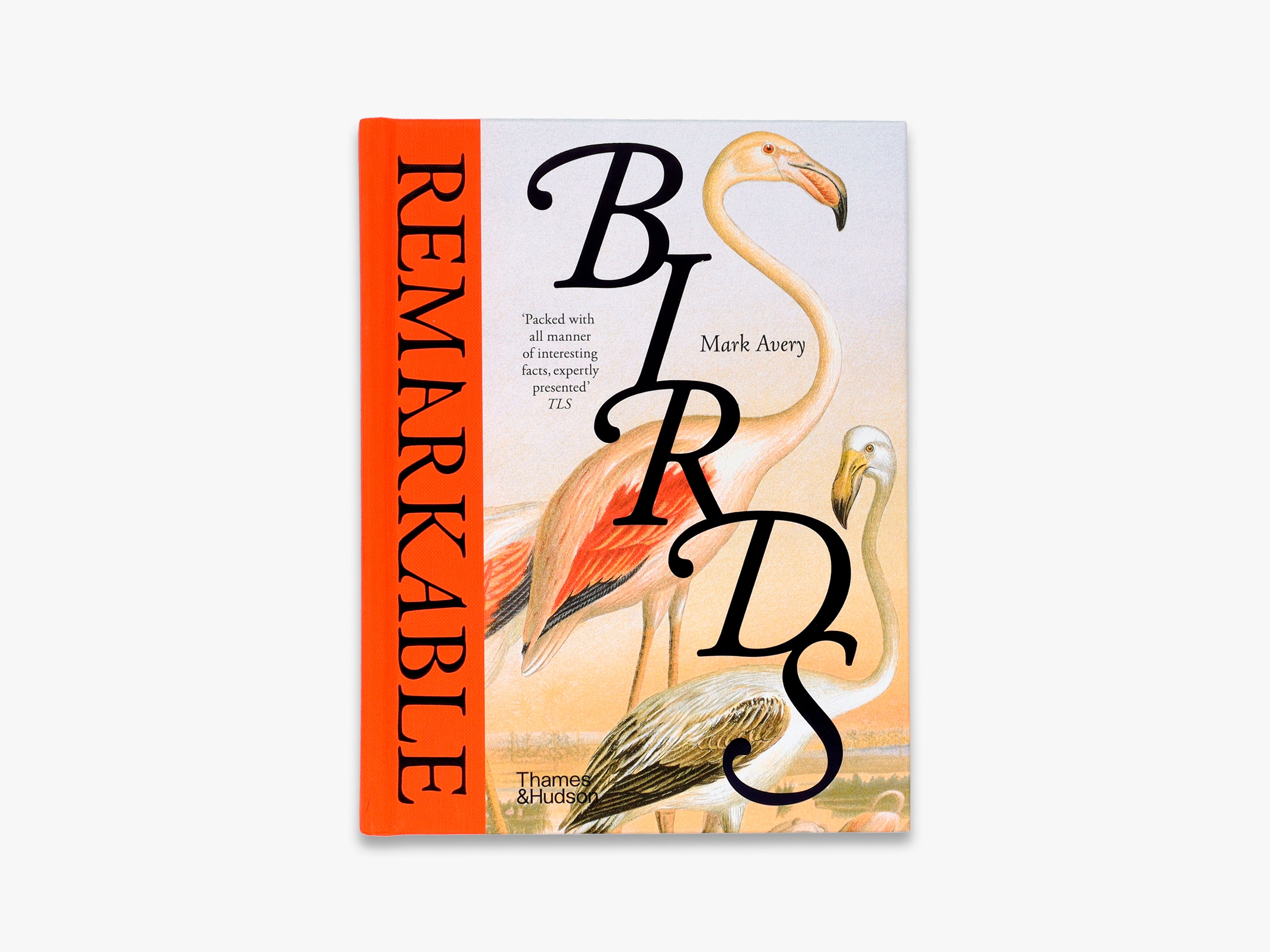 Remarkable Birds