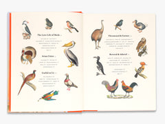 Open book with illustrations of various birds on a white background