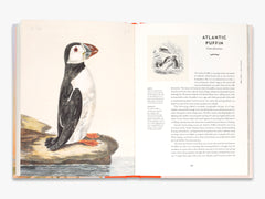 Open book showing an illustration of an Atlantic Puffin on one page and text on the other.