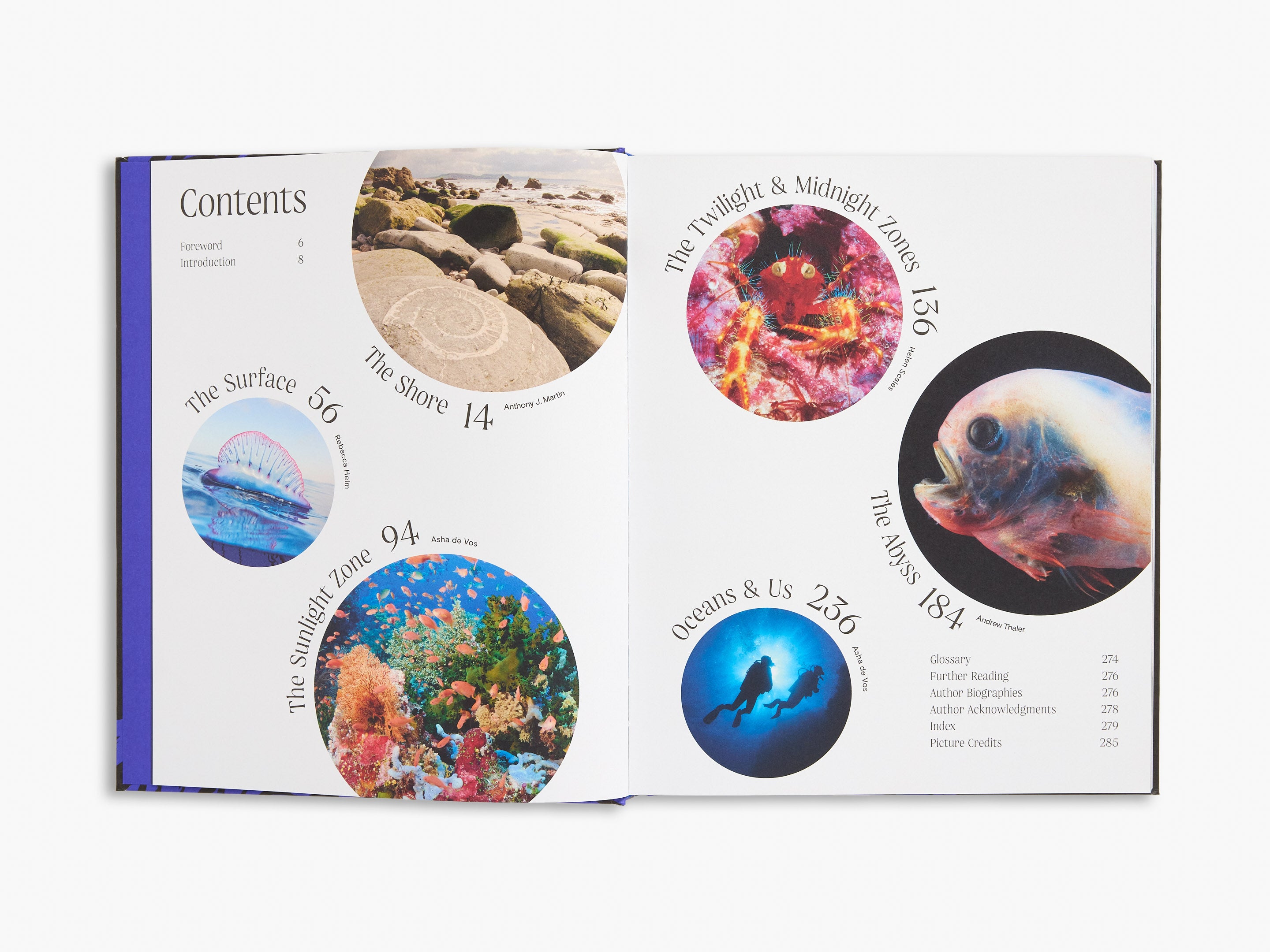 Open book showing a colorful underwater-themed table of contents with images and text.