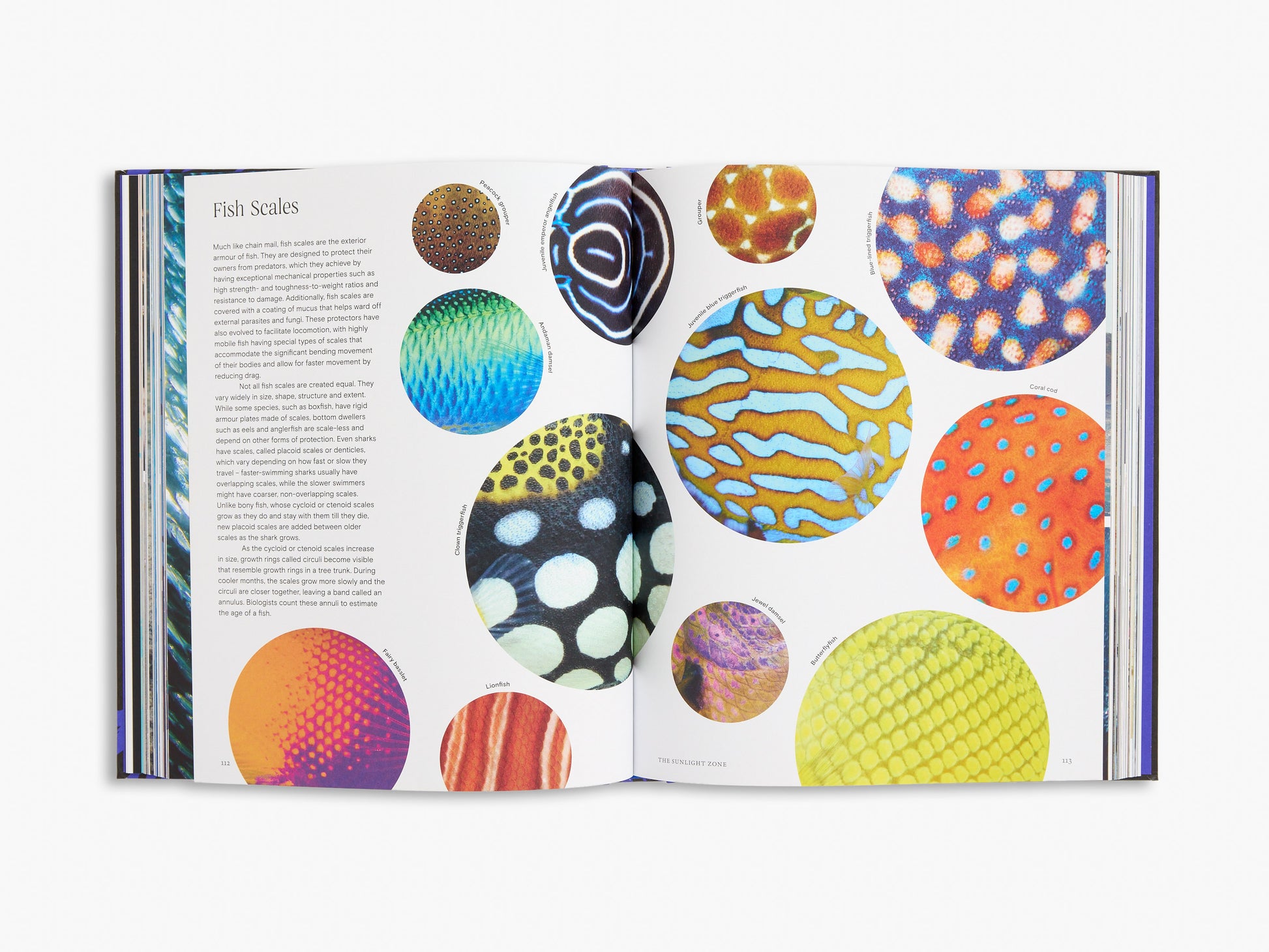 Open book showing colorful illustrations of fish scales on a white background