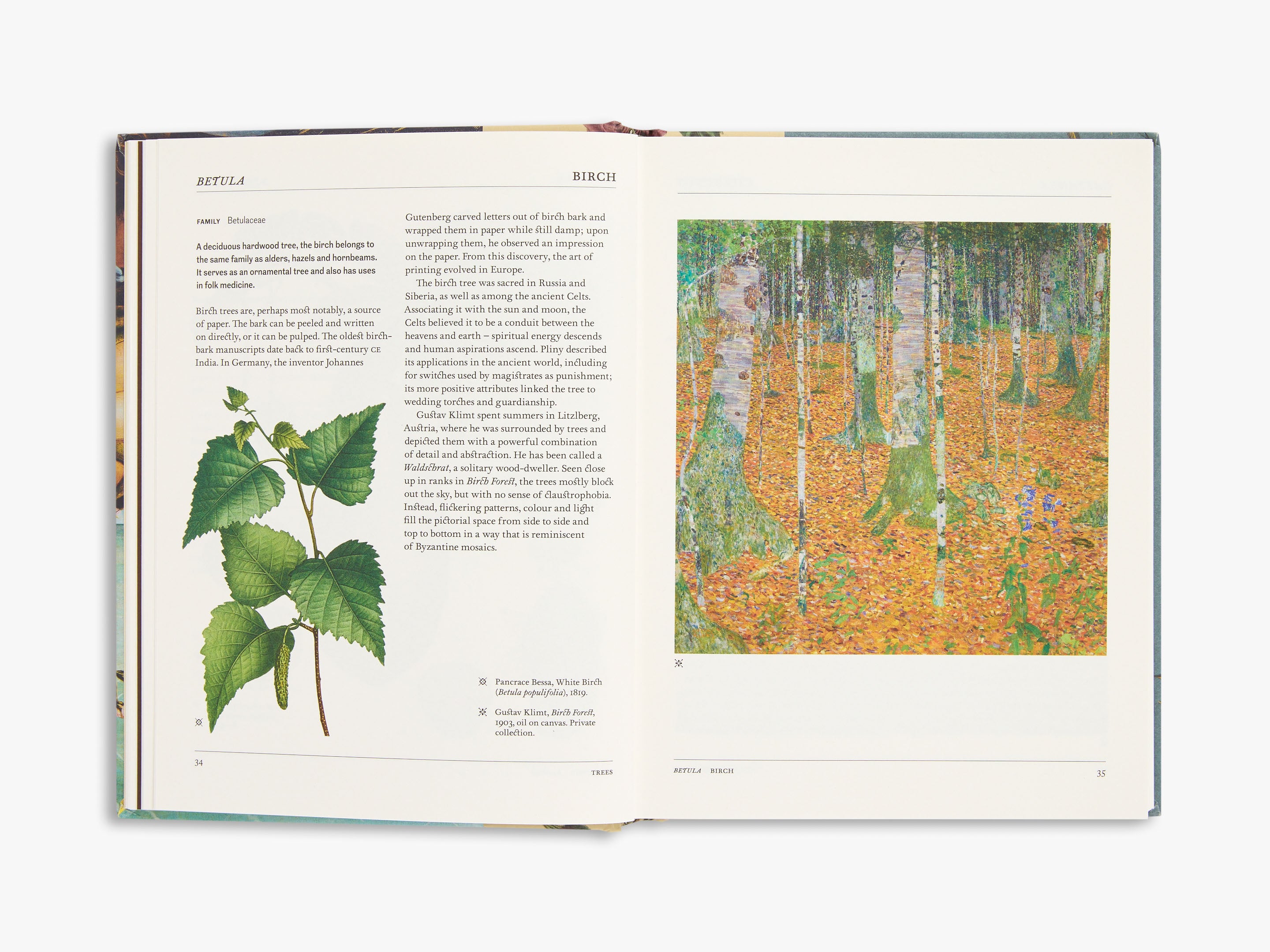 The Secret Language of Plants