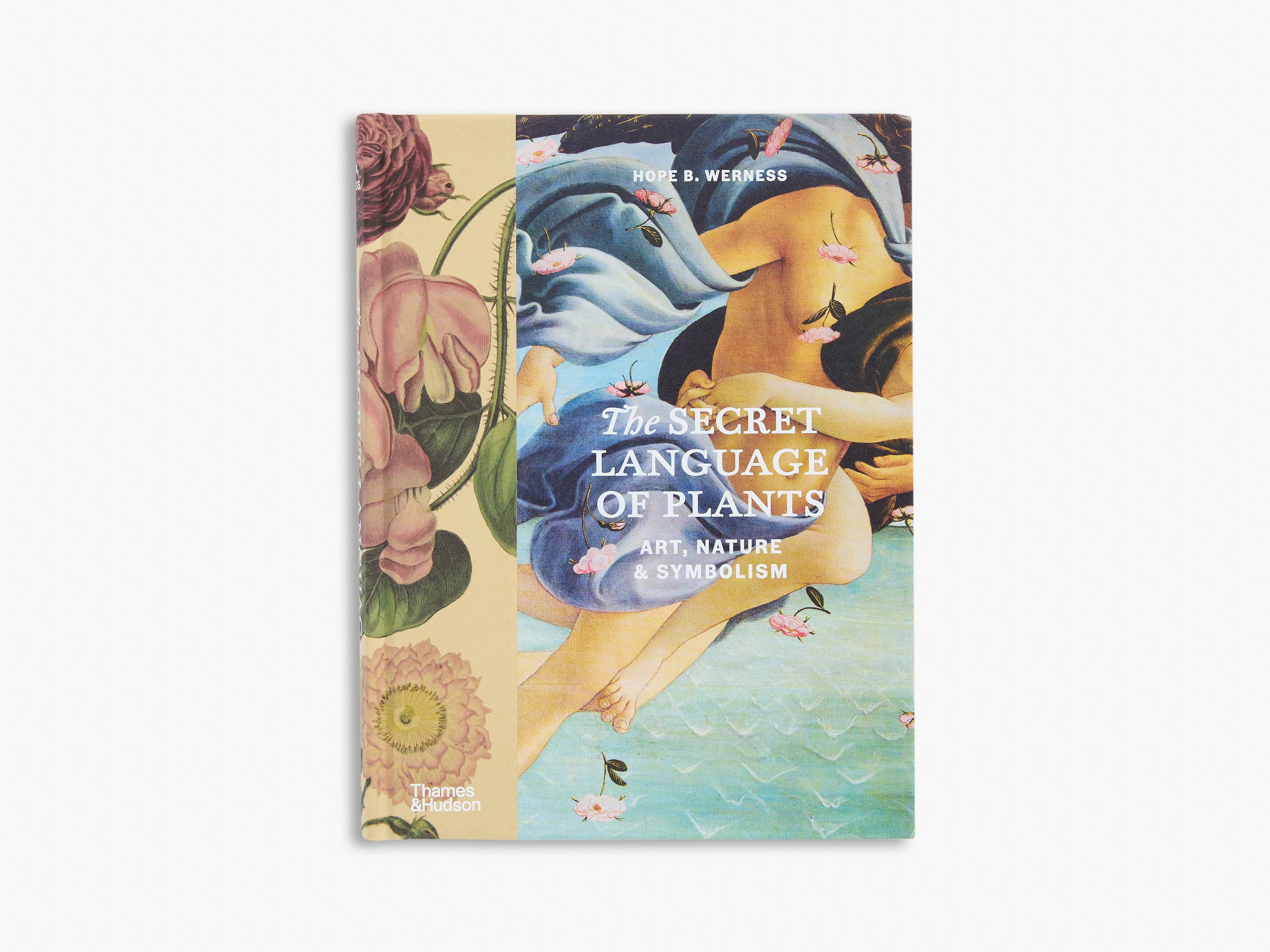 The Secret Language of Plants