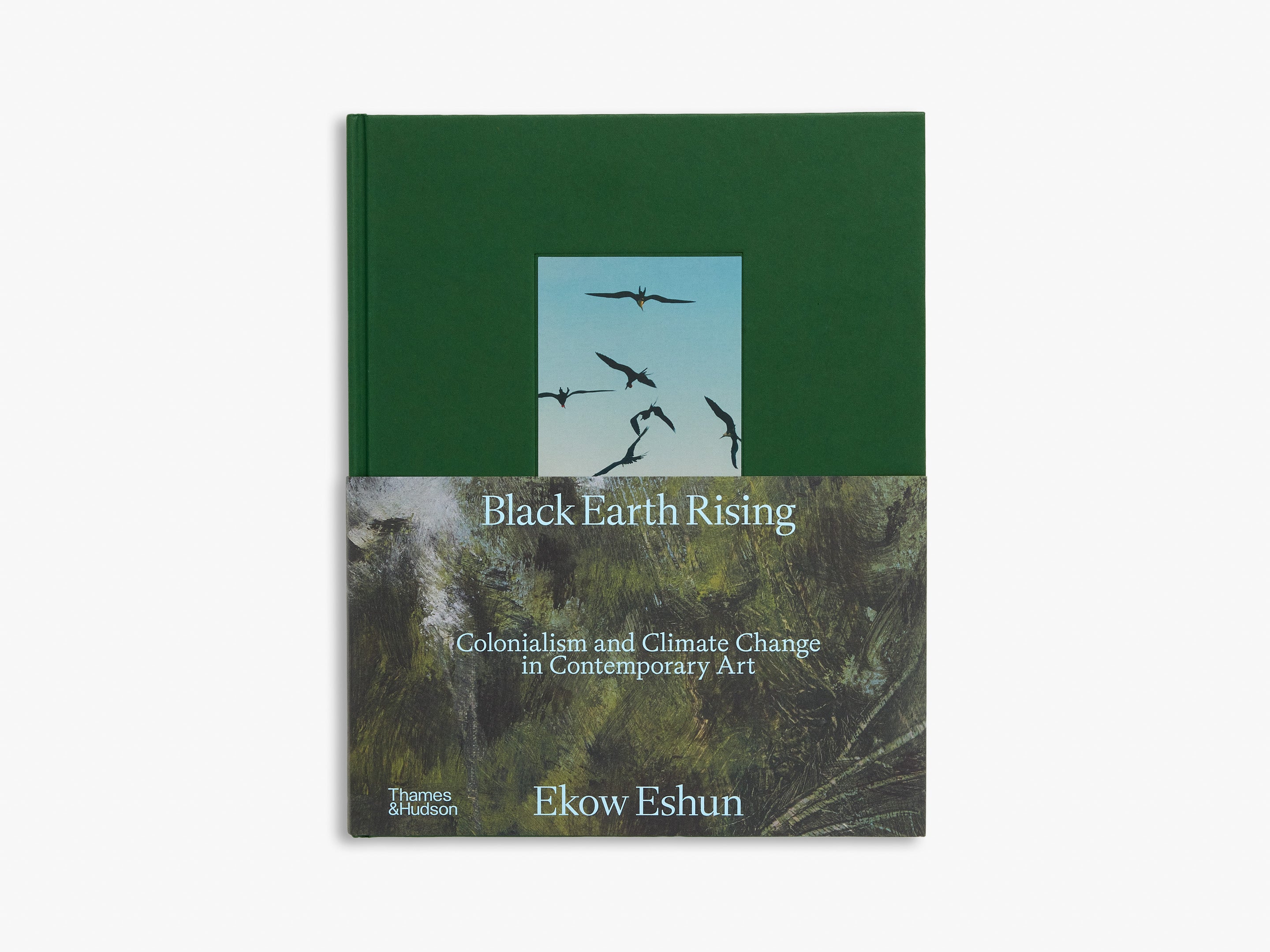 Black Earth Rising