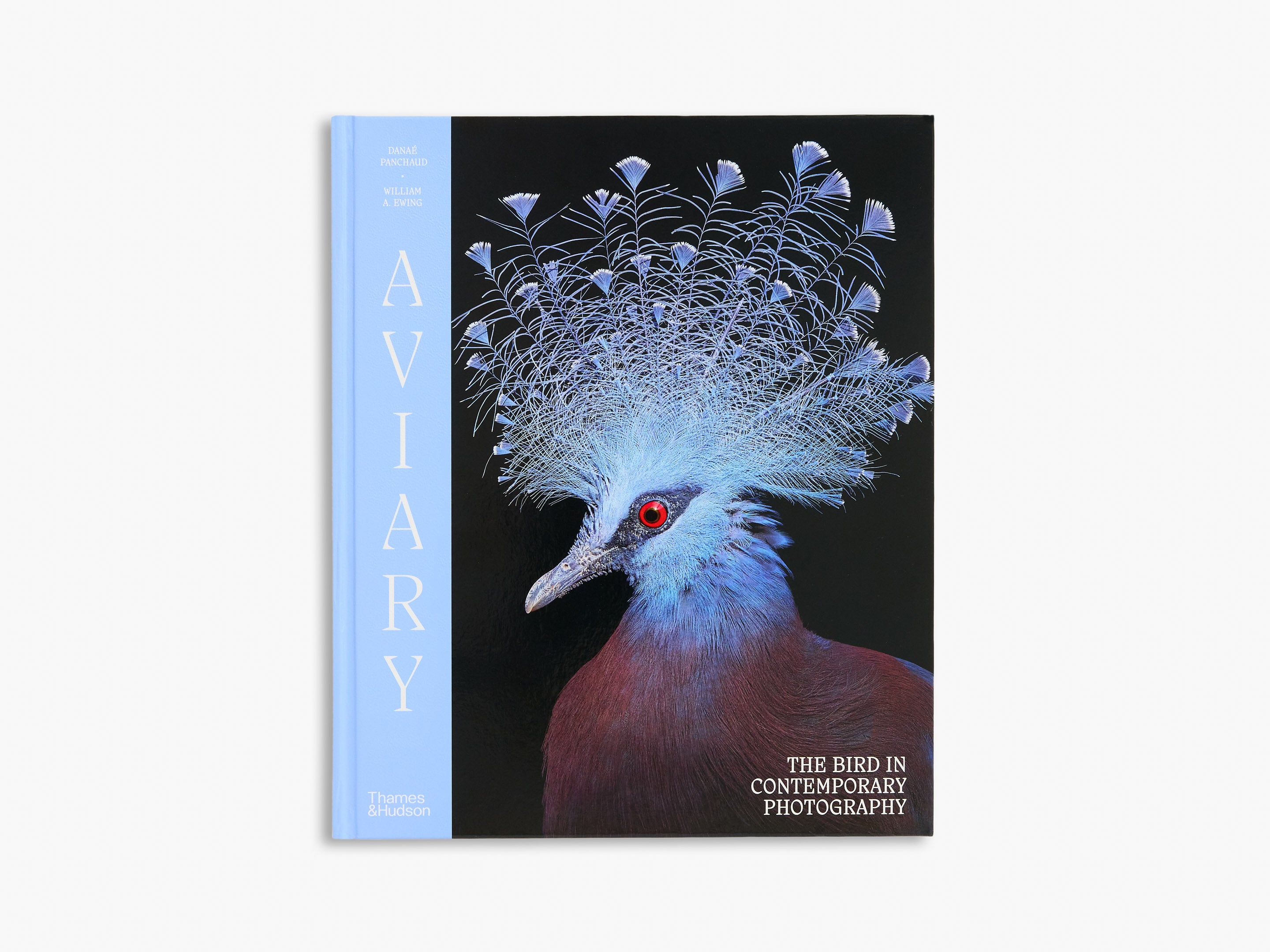 Aviary