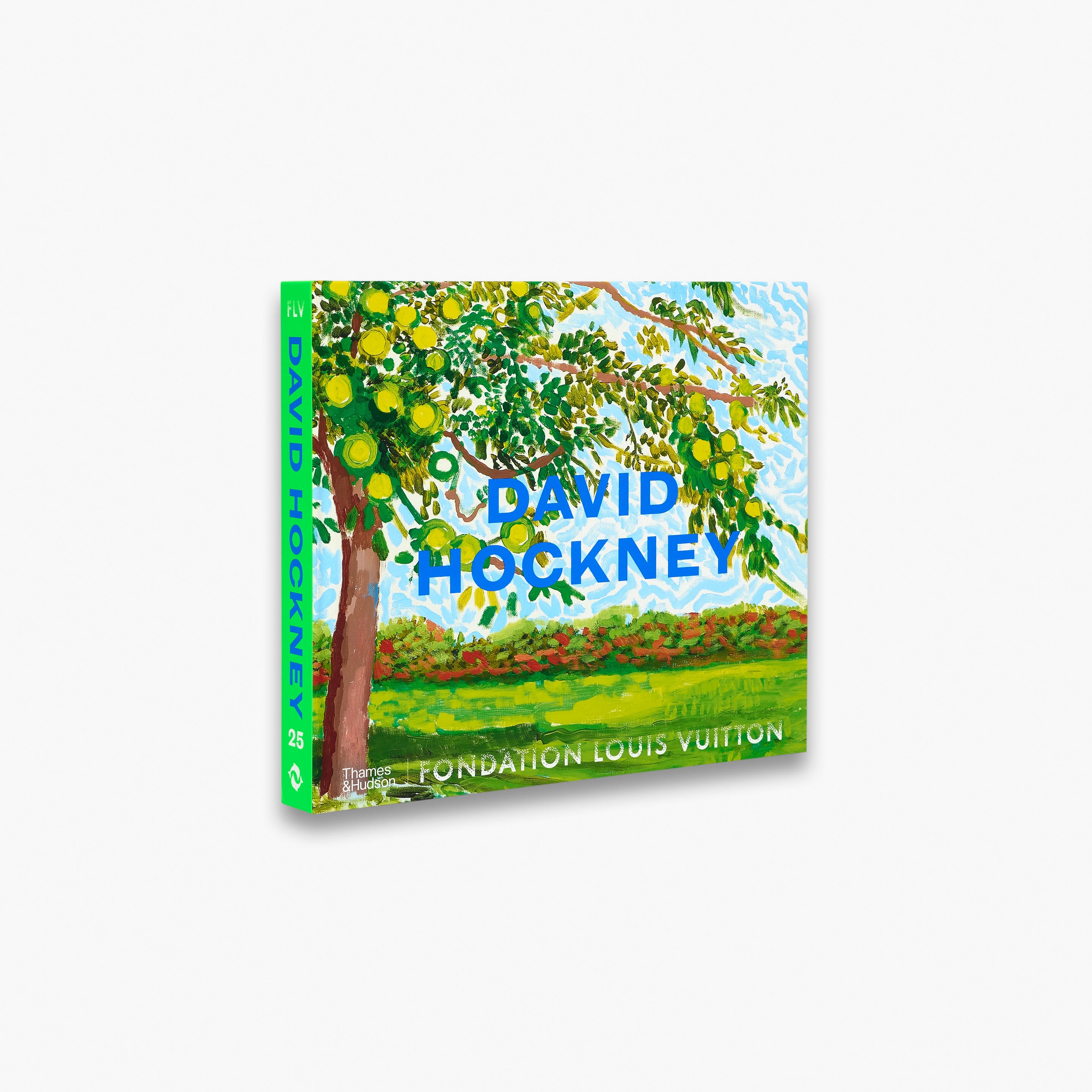 A Bigger Picture: David Hockney (Hardback) — Pallant Bookshop