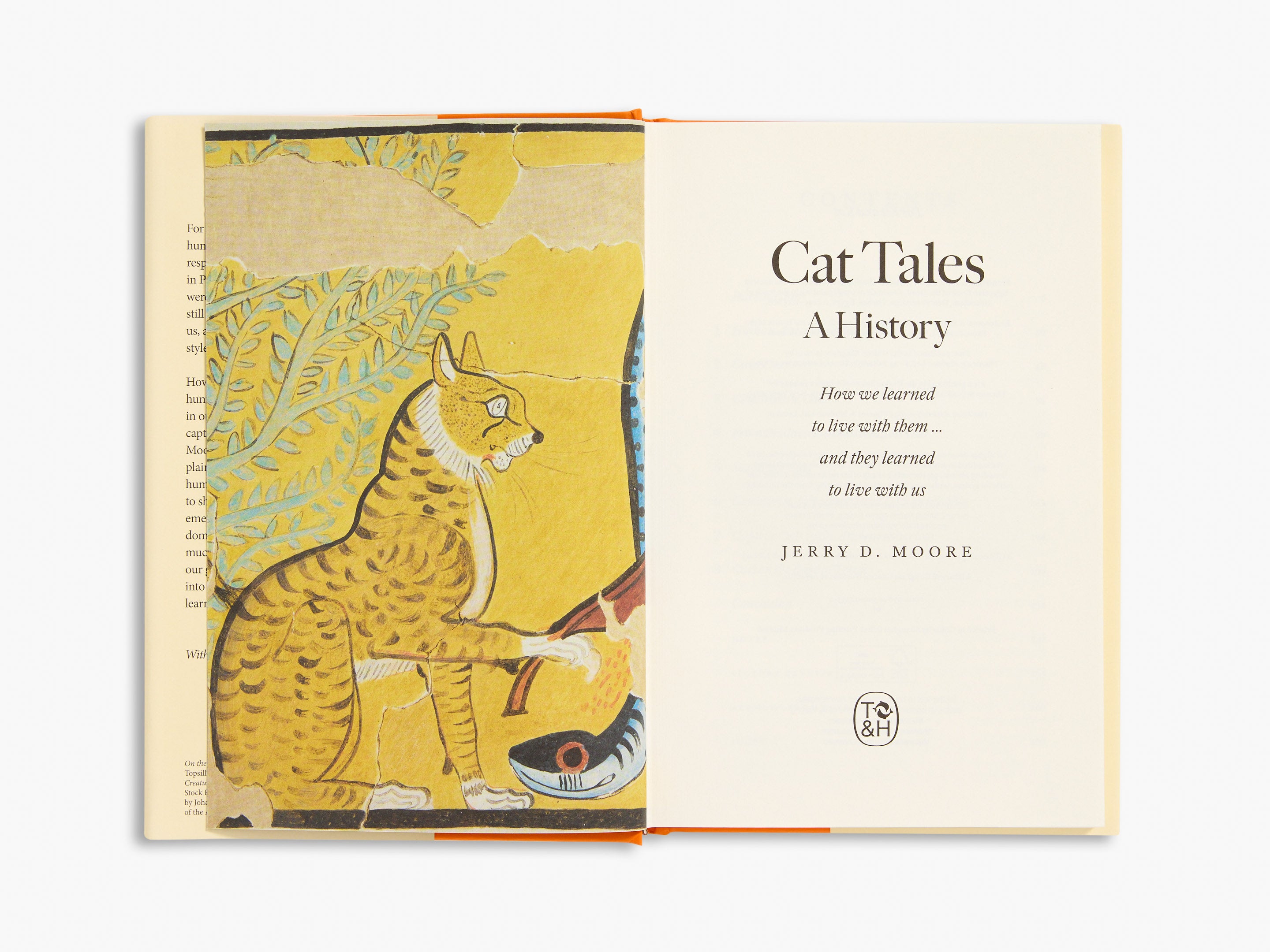 Cat Tales