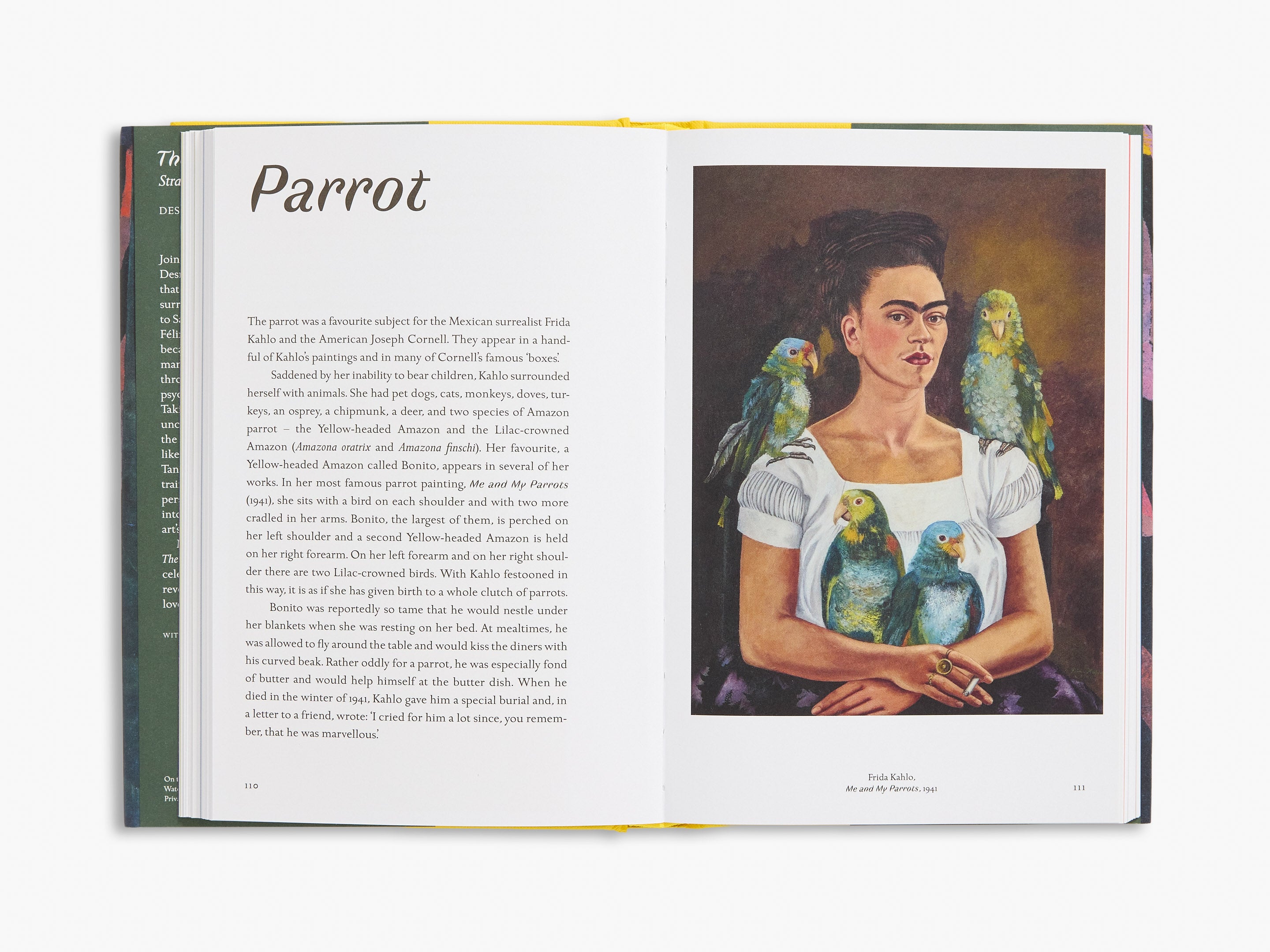 Thames & Hudson | Beautiful illustrated books