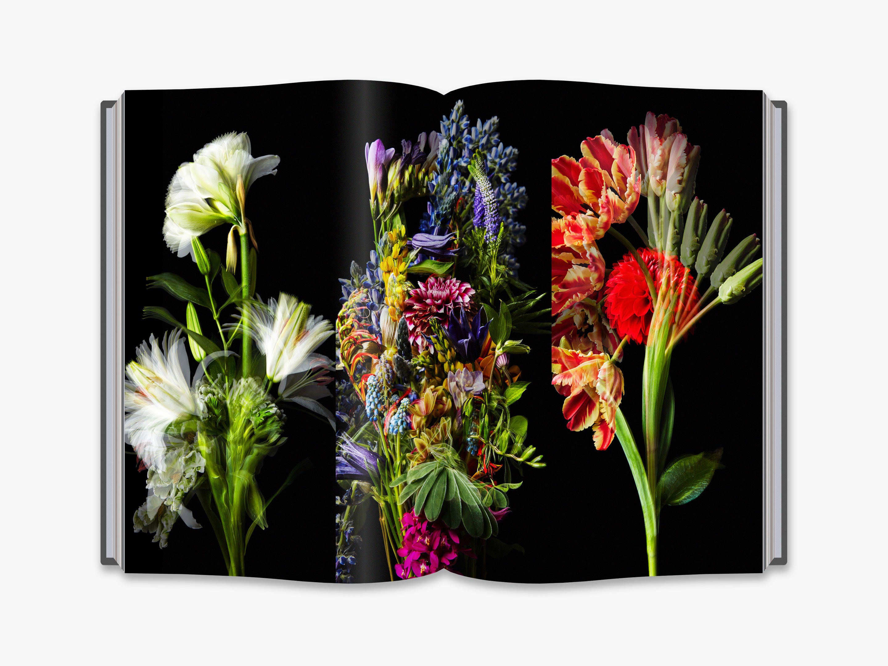 入手困難 Flower Art MAKOTO AZUMA アートブック 英語版 9780500210291_flower-art-