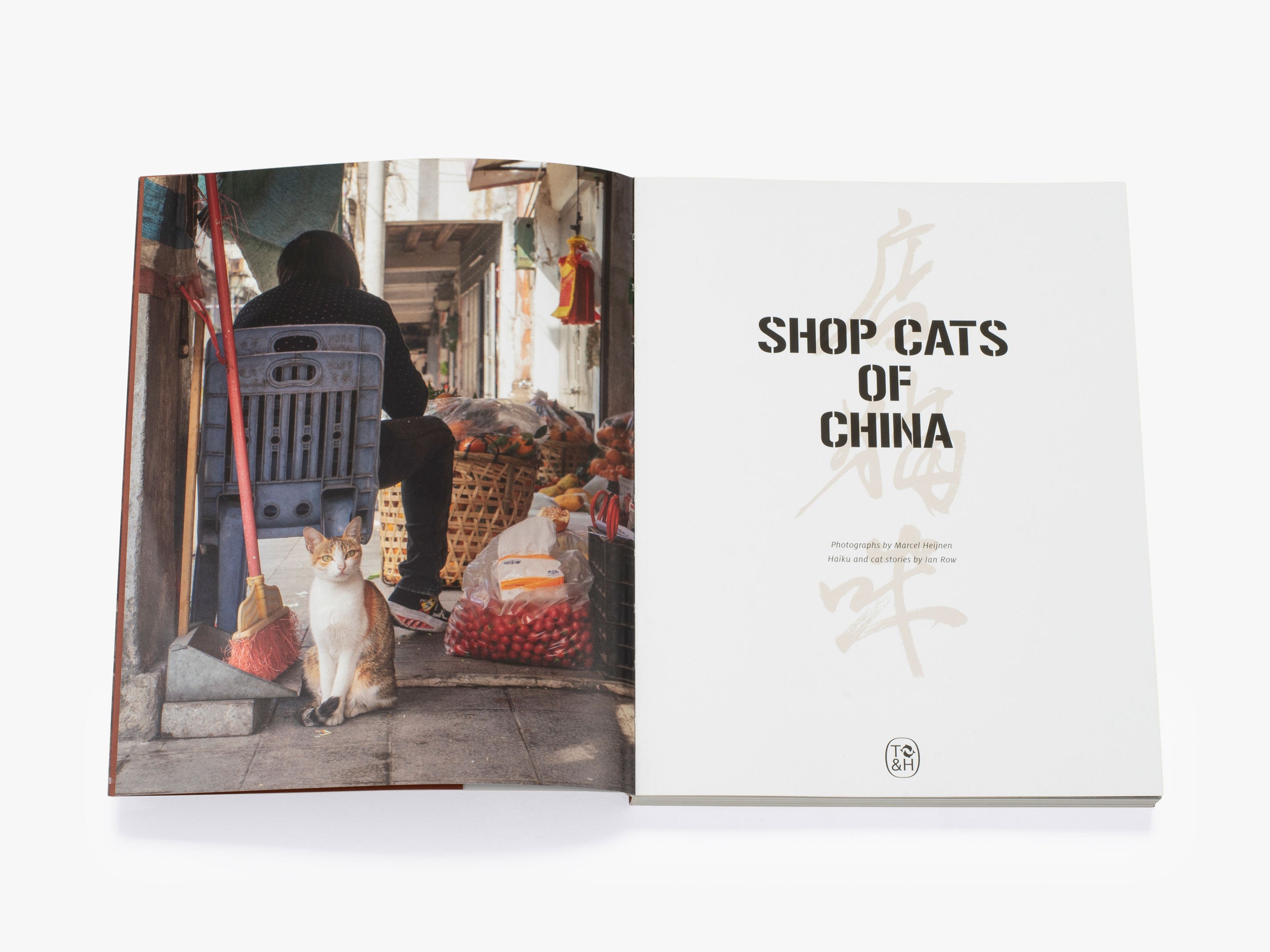 Shop Cats of China