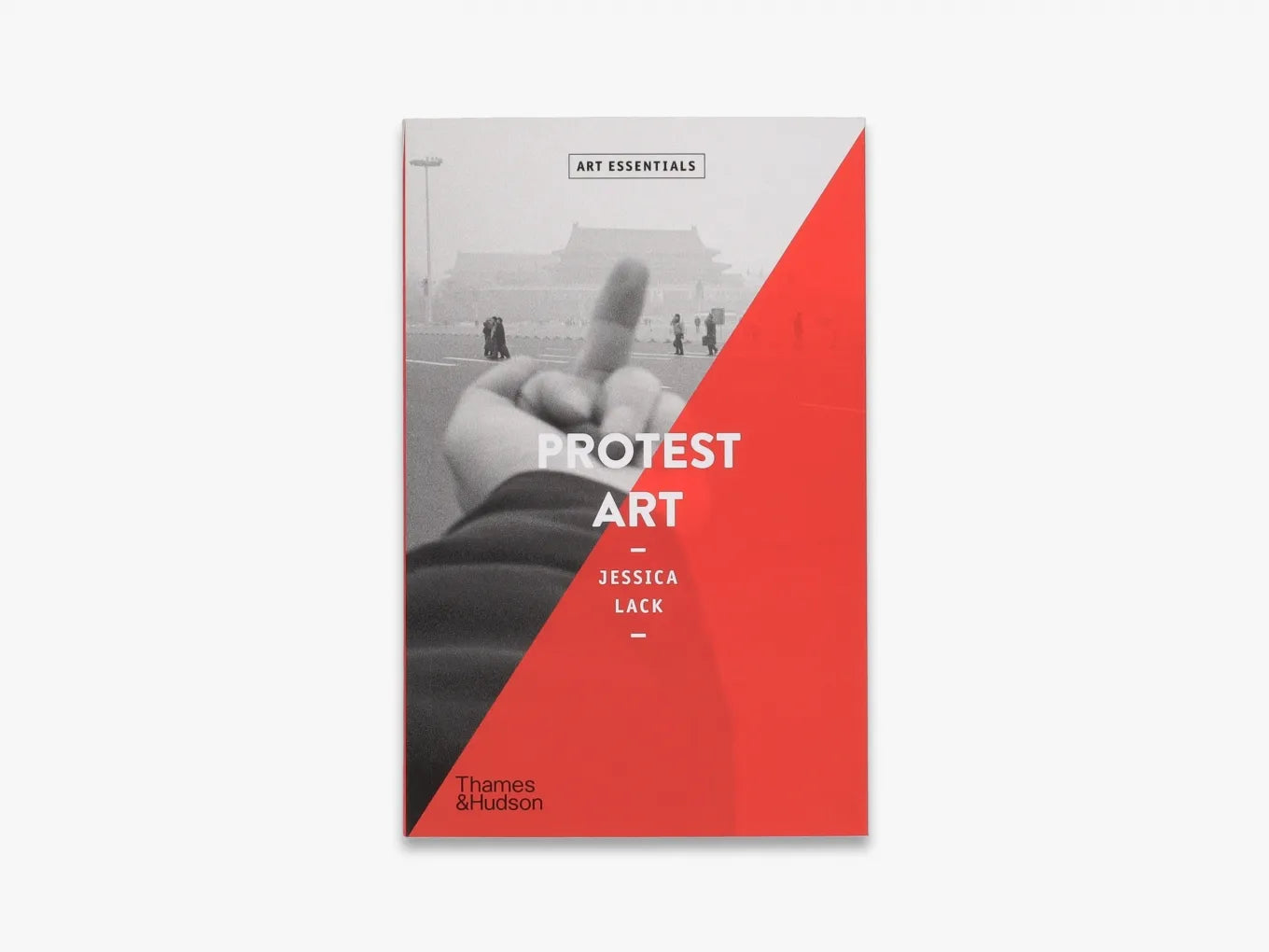 Protest Art (Art Essentials)