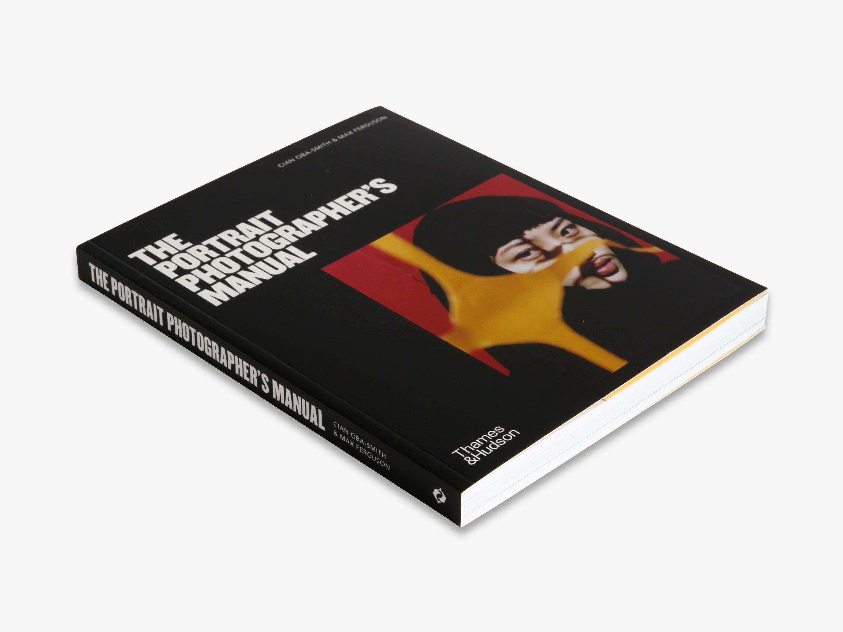 9780500297131_the-portrait-