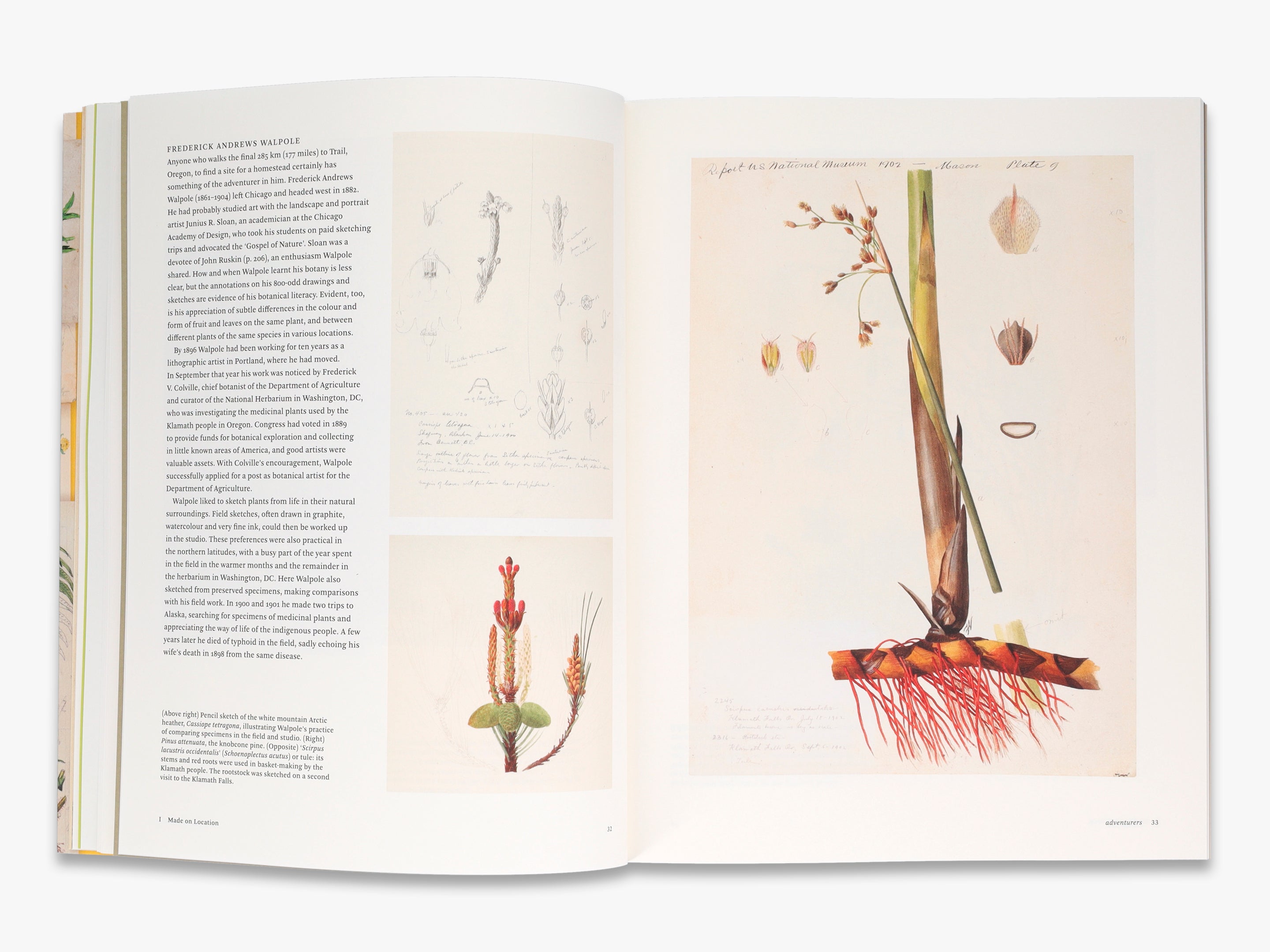 Botanical Sketchbooks
