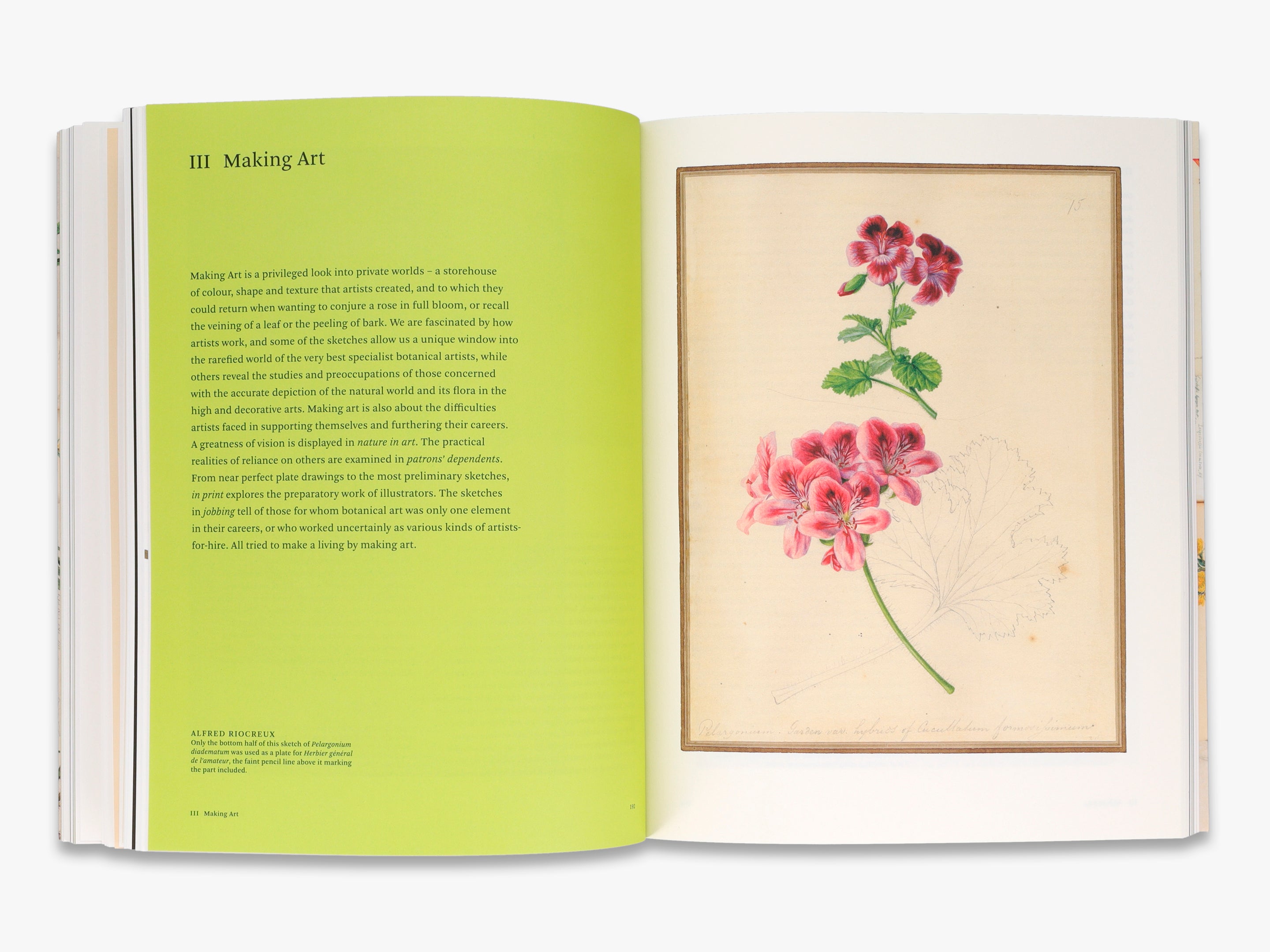 Botanical Sketchbooks