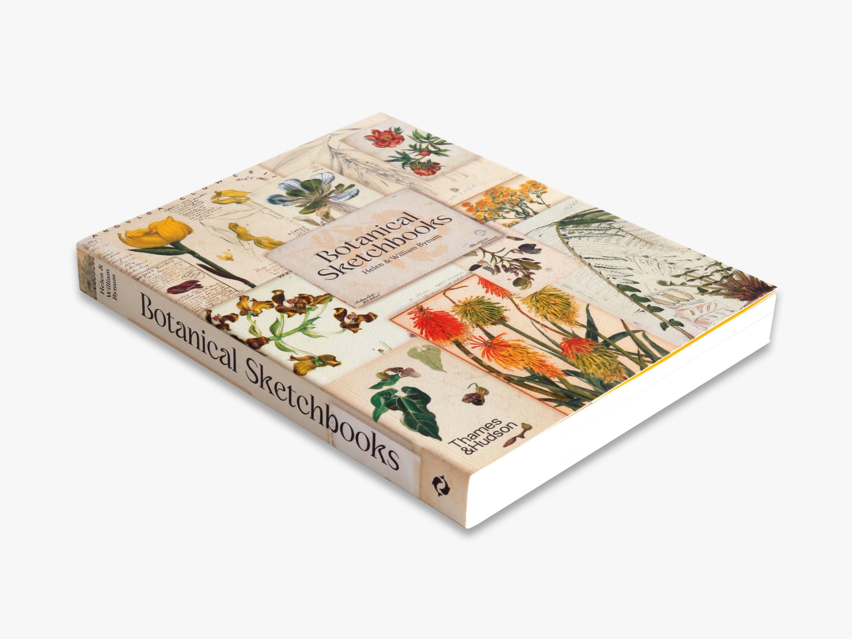 Botanical Sketchbooks 植物　スケッチ　絵画　洋書 71Frx7-hX8L.jpg_BO30,255,255,