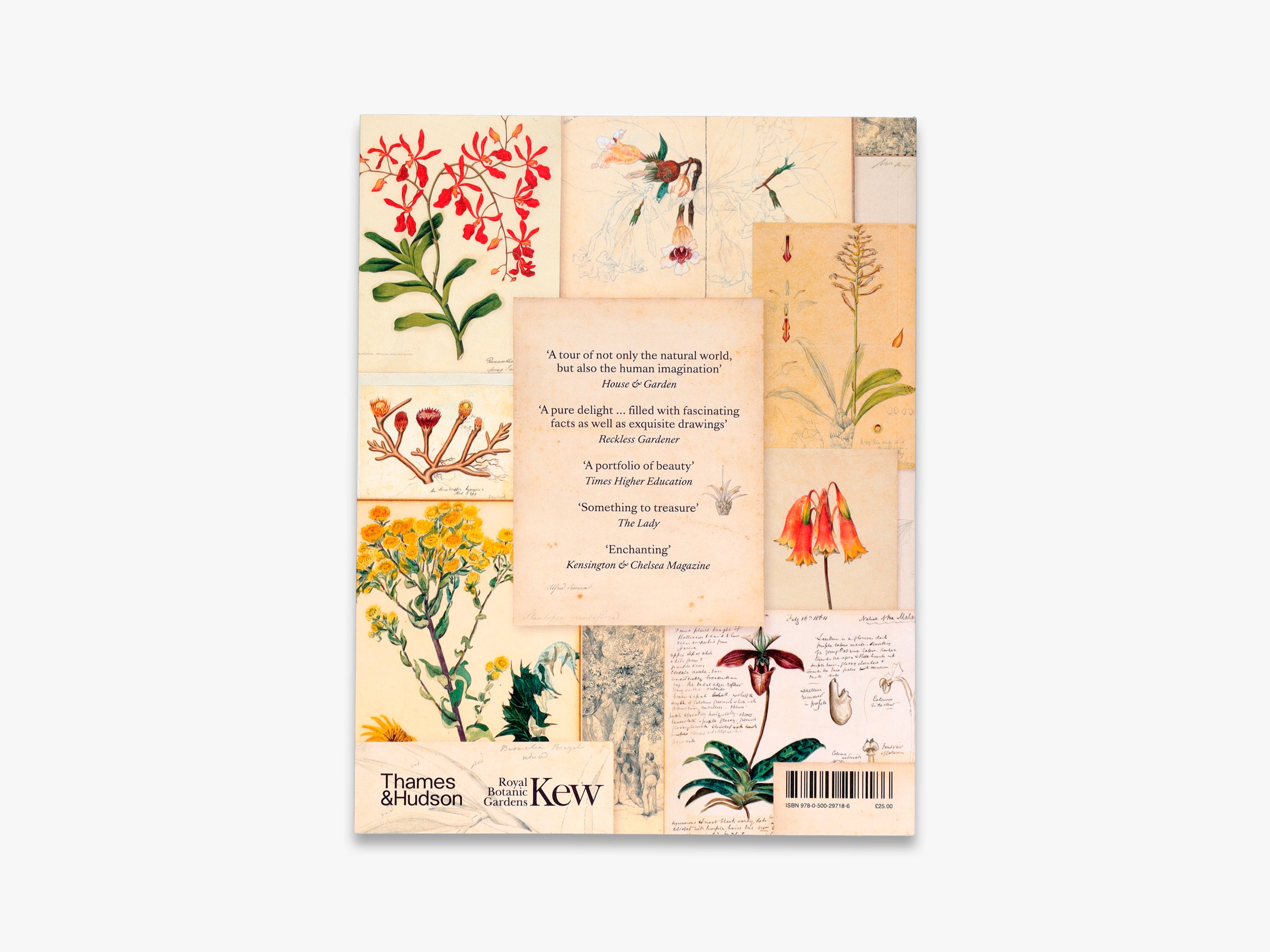 Botanical Sketchbooks 植物　スケッチ　絵画　洋書 Botanical Sketchbooks 植物スケッチ絵画洋書