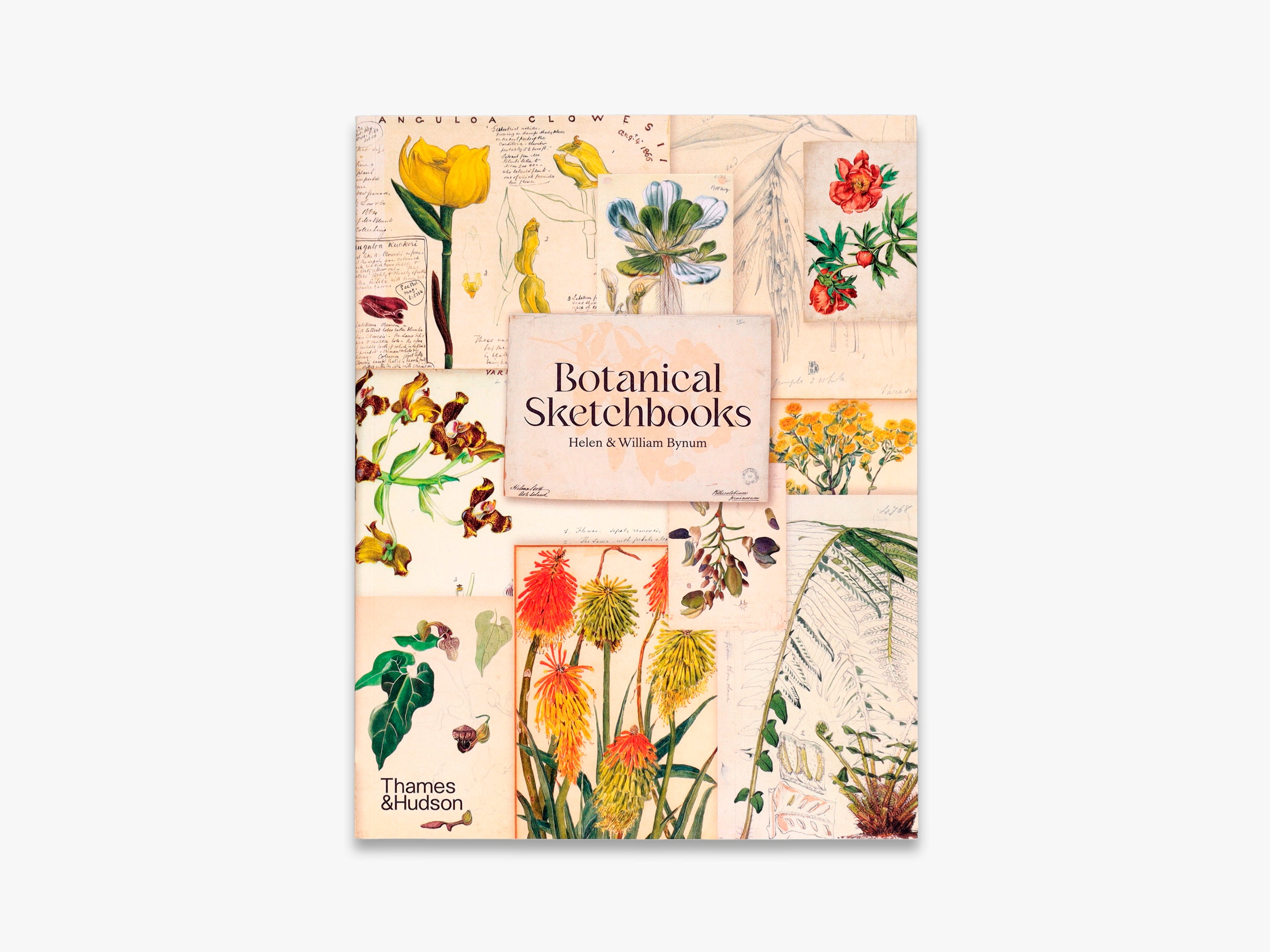 Botanical Sketchbooks