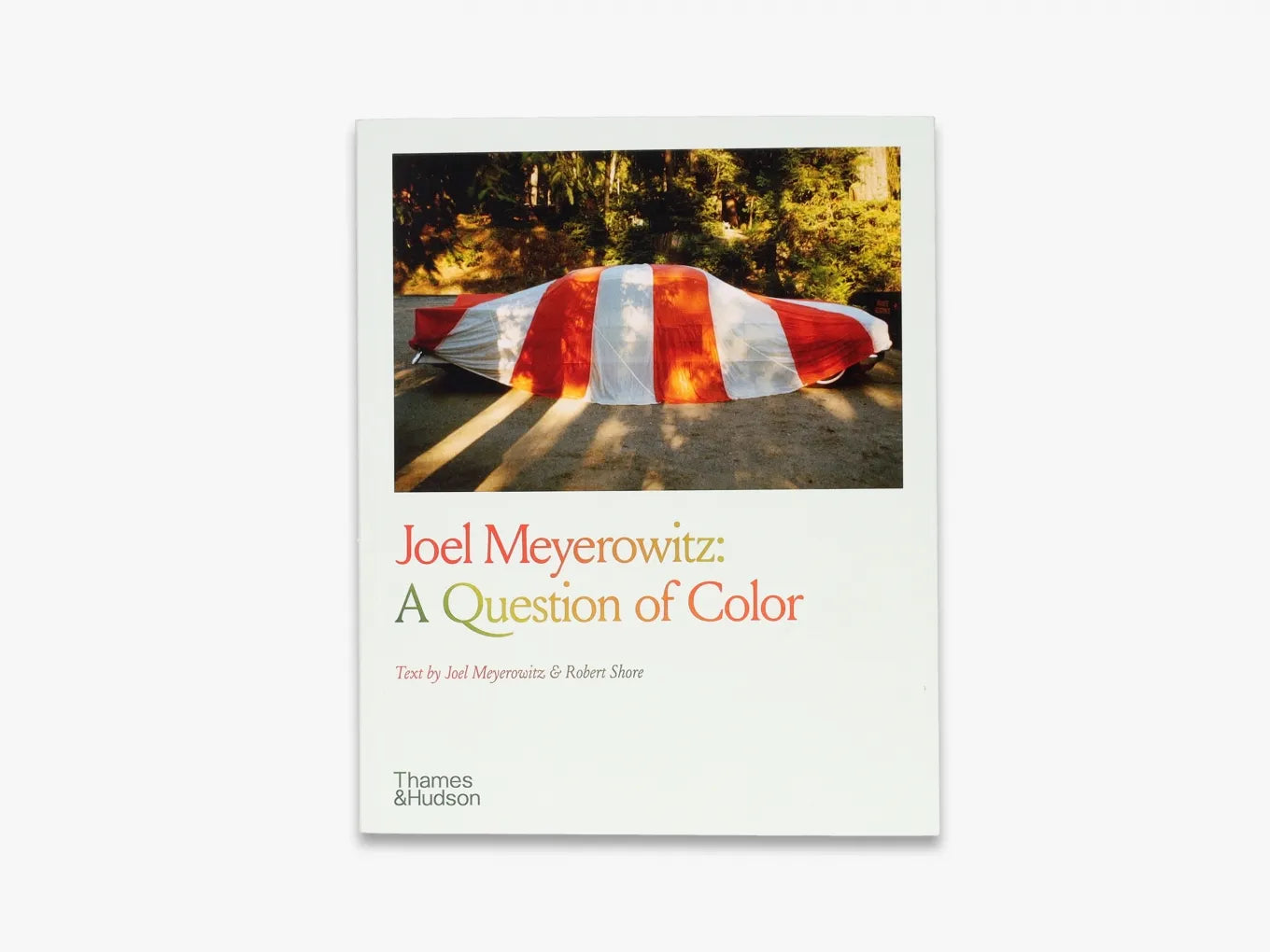 Joel Meyerowitz: A Question of Color