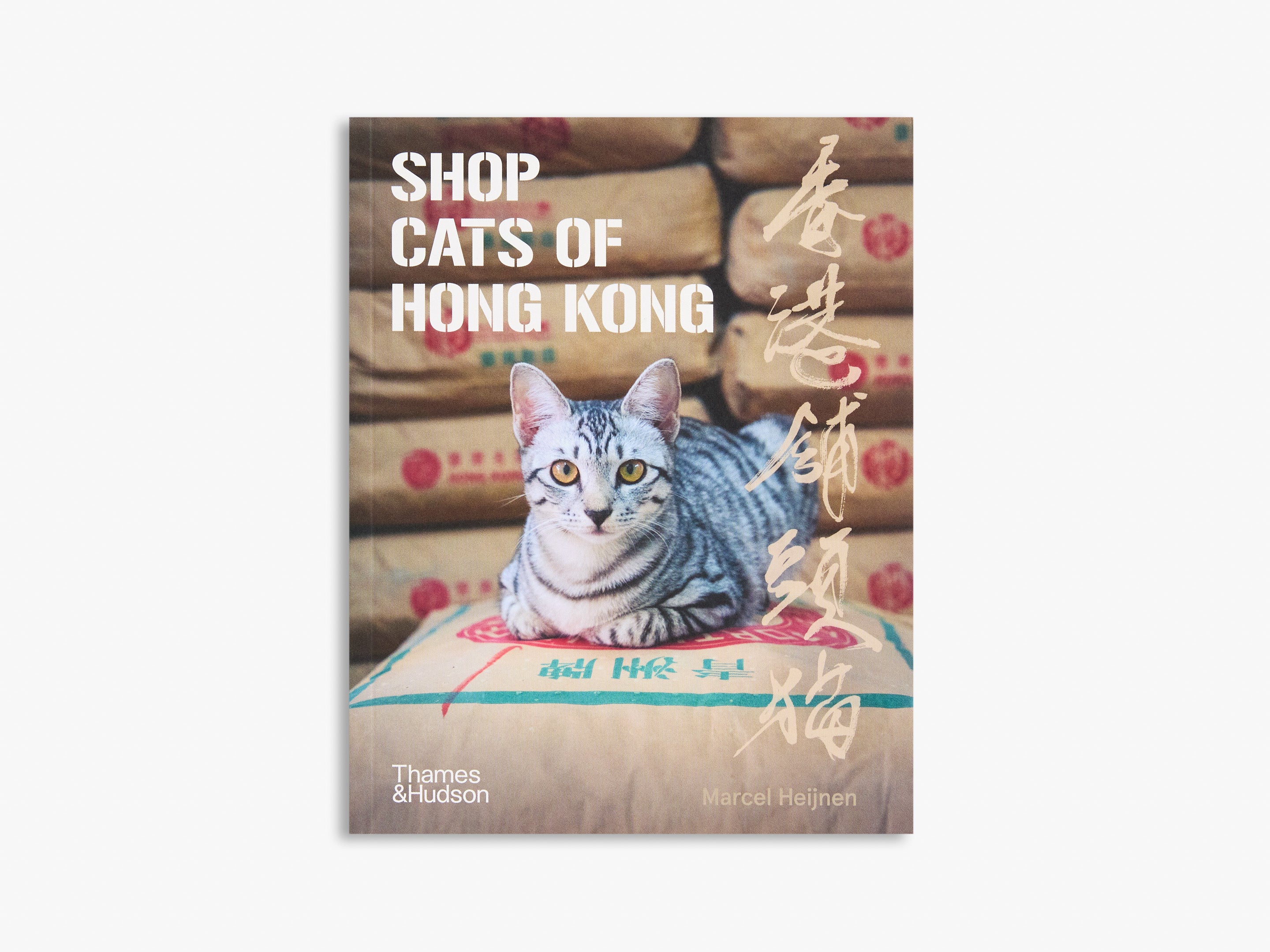 Shop Cats of Hong Kong