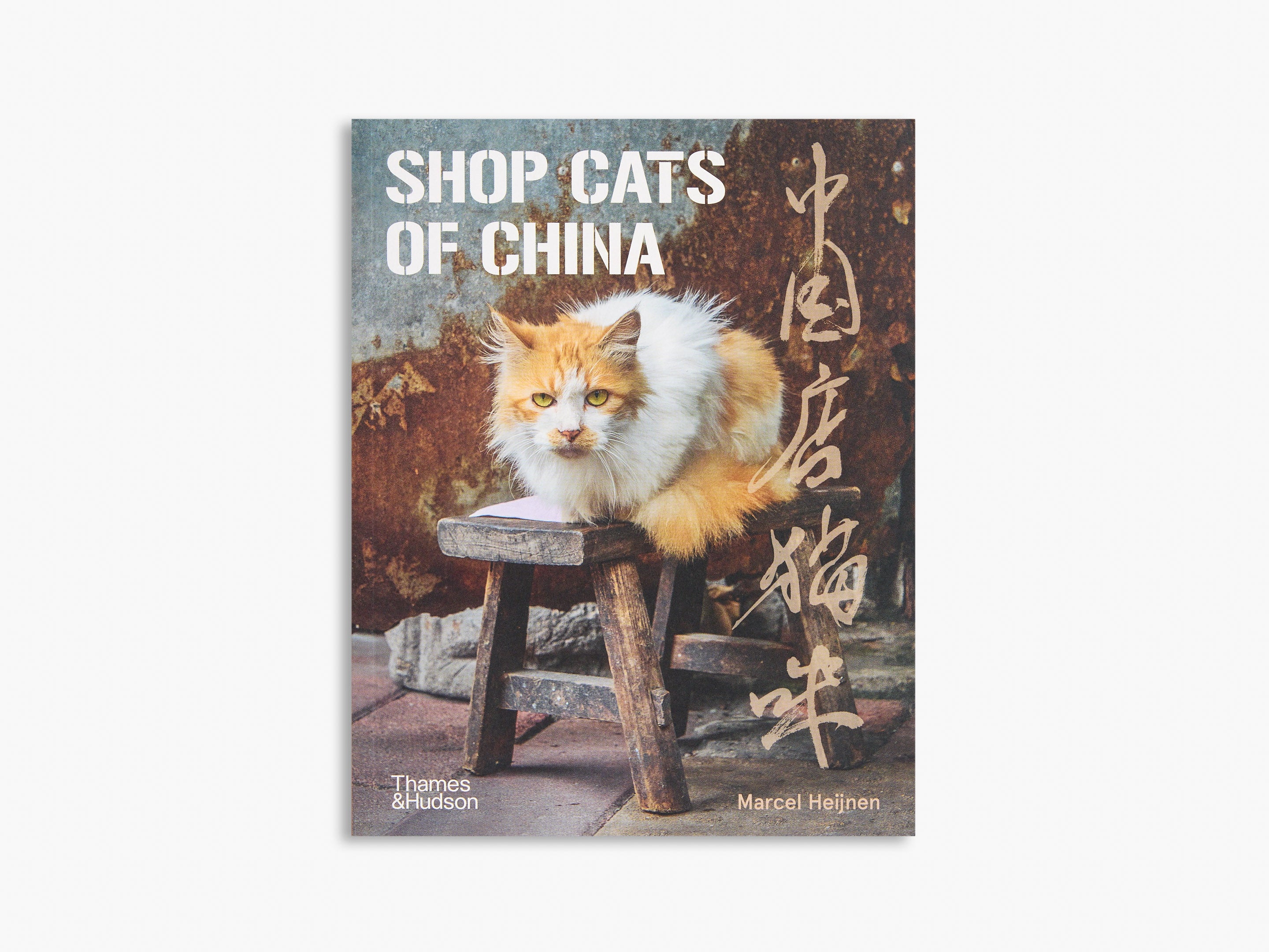 Shop Cats of China