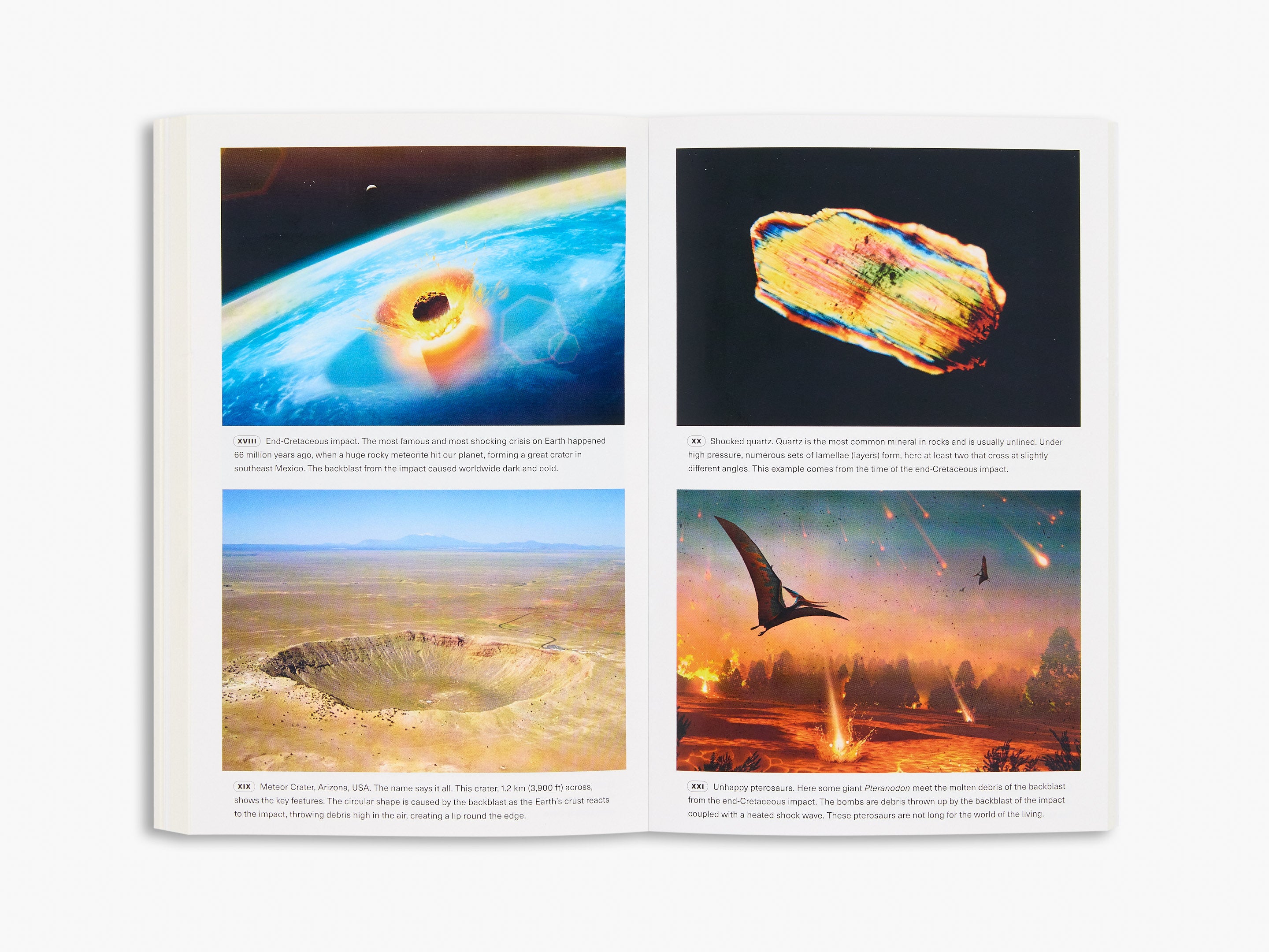 Extinctions
