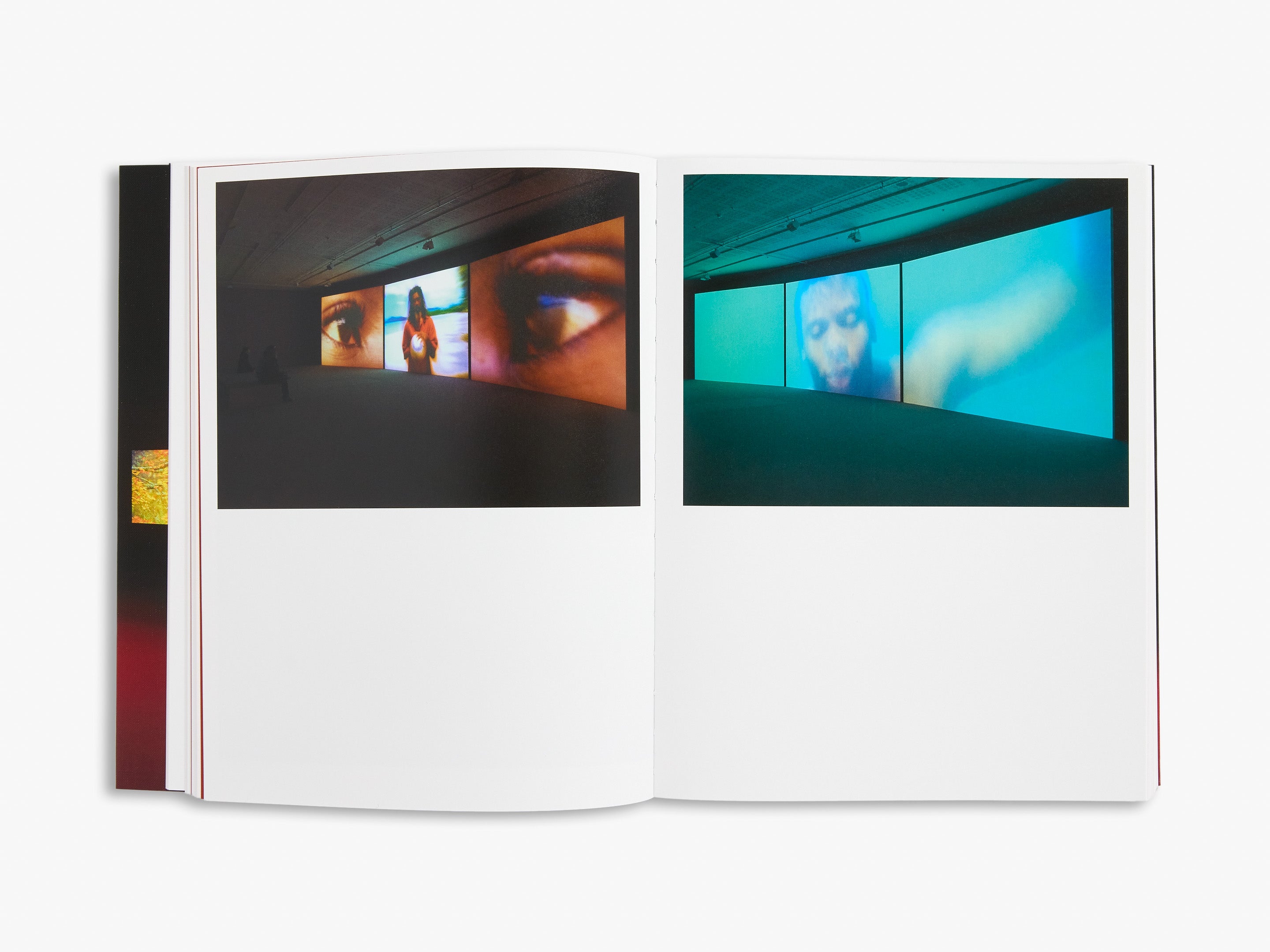 Open book showing a split-screen image of a person's face with different colored backgrounds.