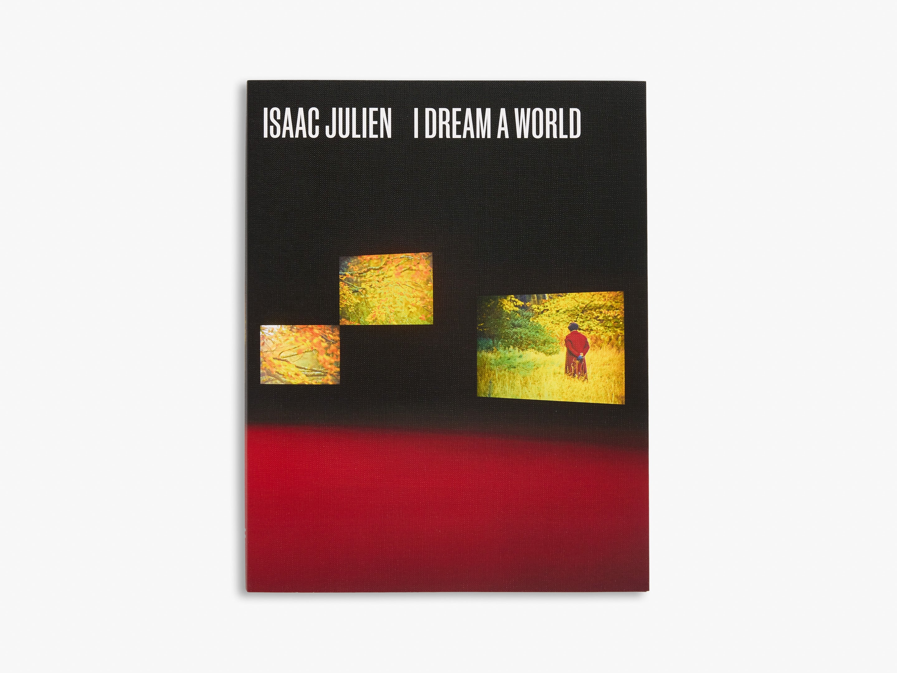 Book cover of 'I Dream a World' with abstract design and text on black and red background