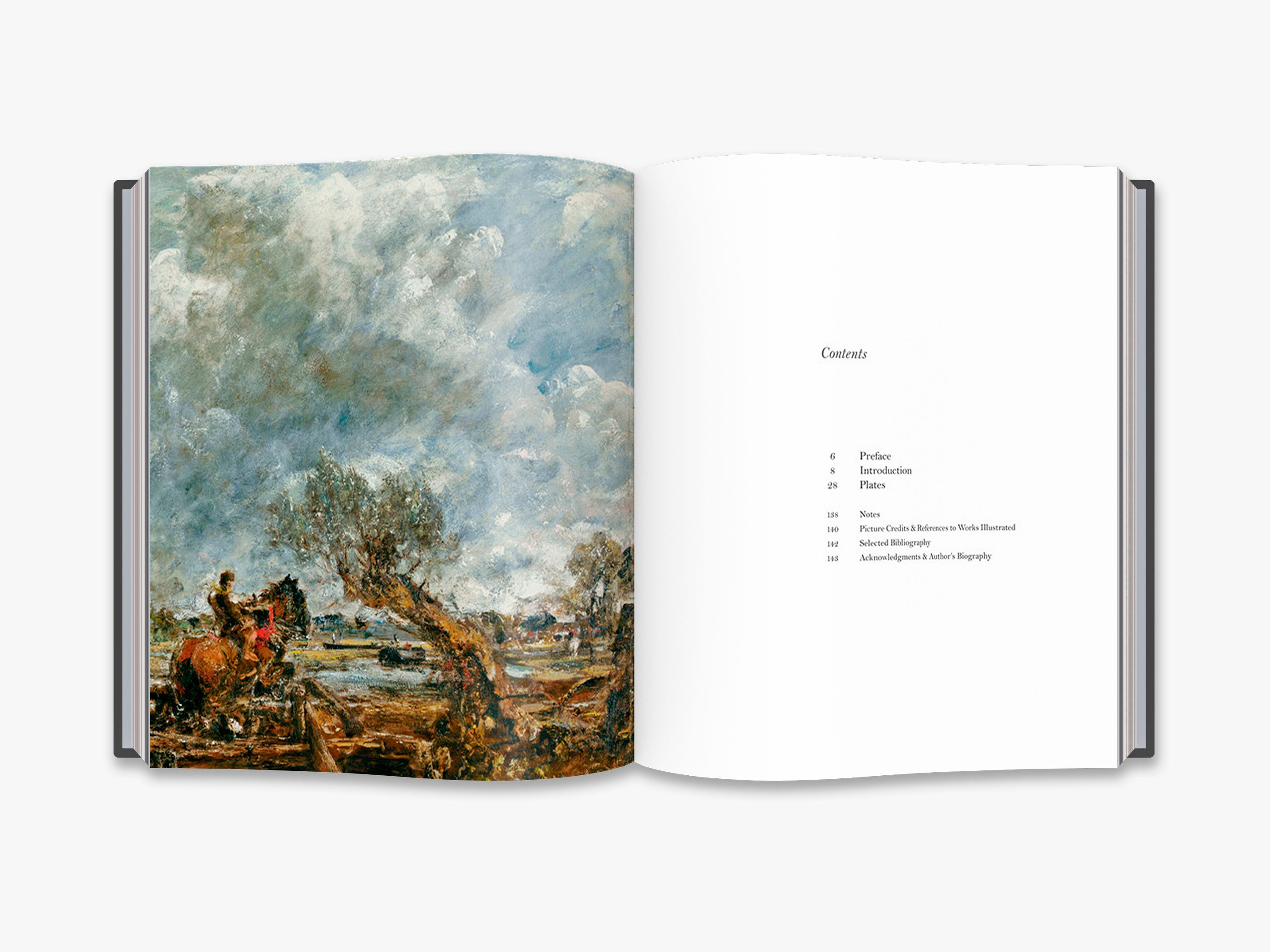 Constable's Skies (Artists In Focus)