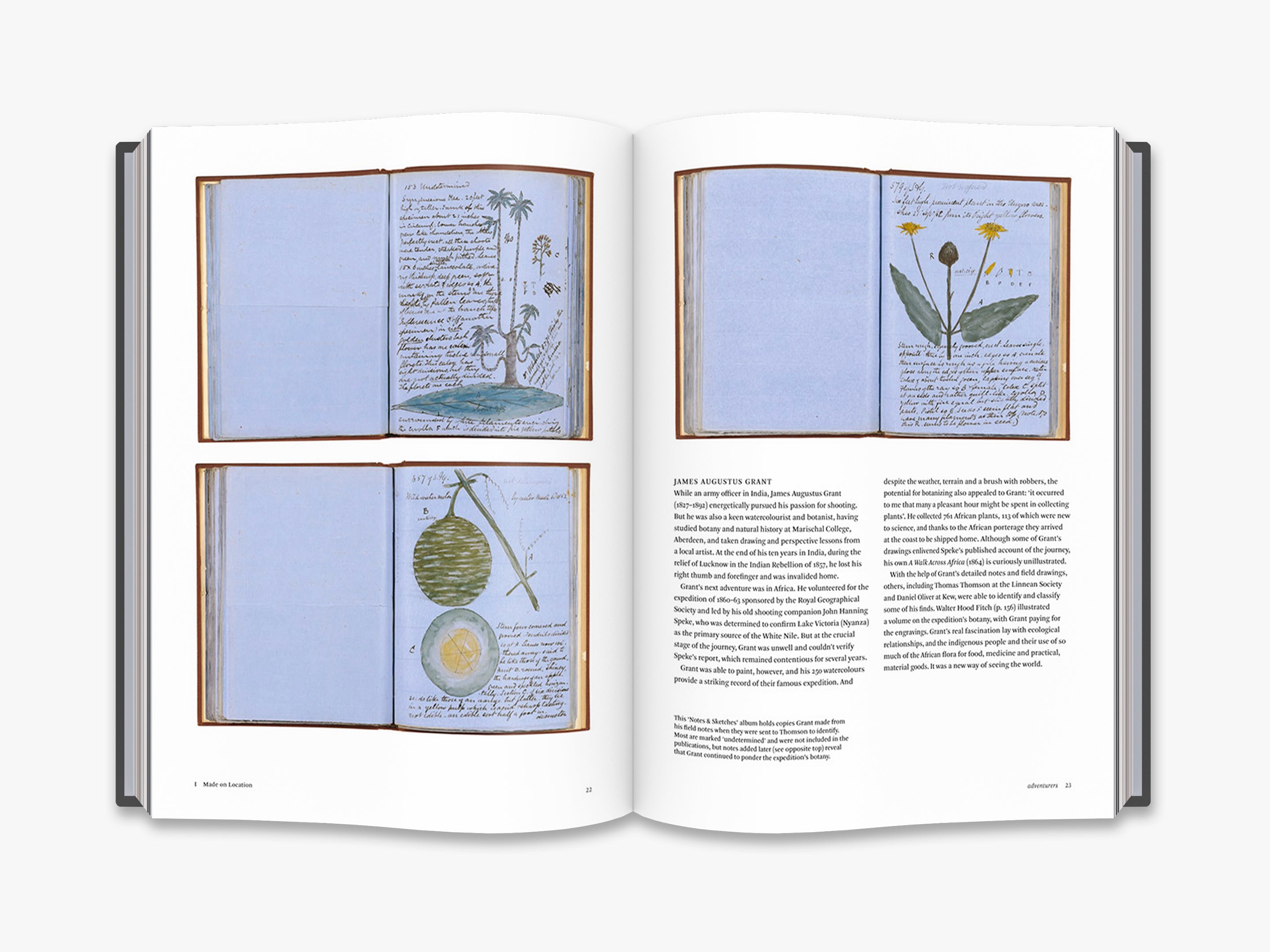 Botanical Sketchbooks