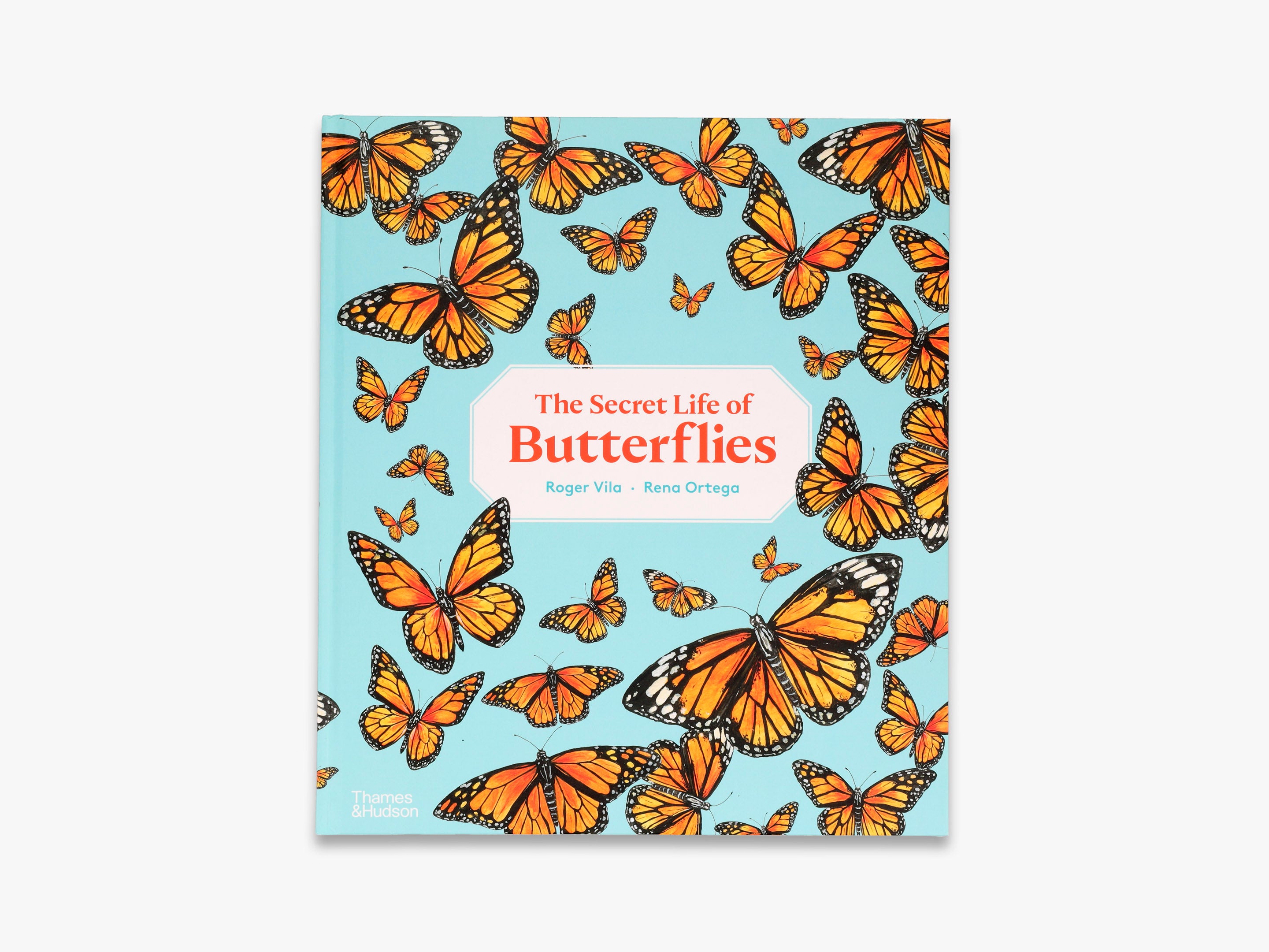 9780500653012_The-Secret-Life-