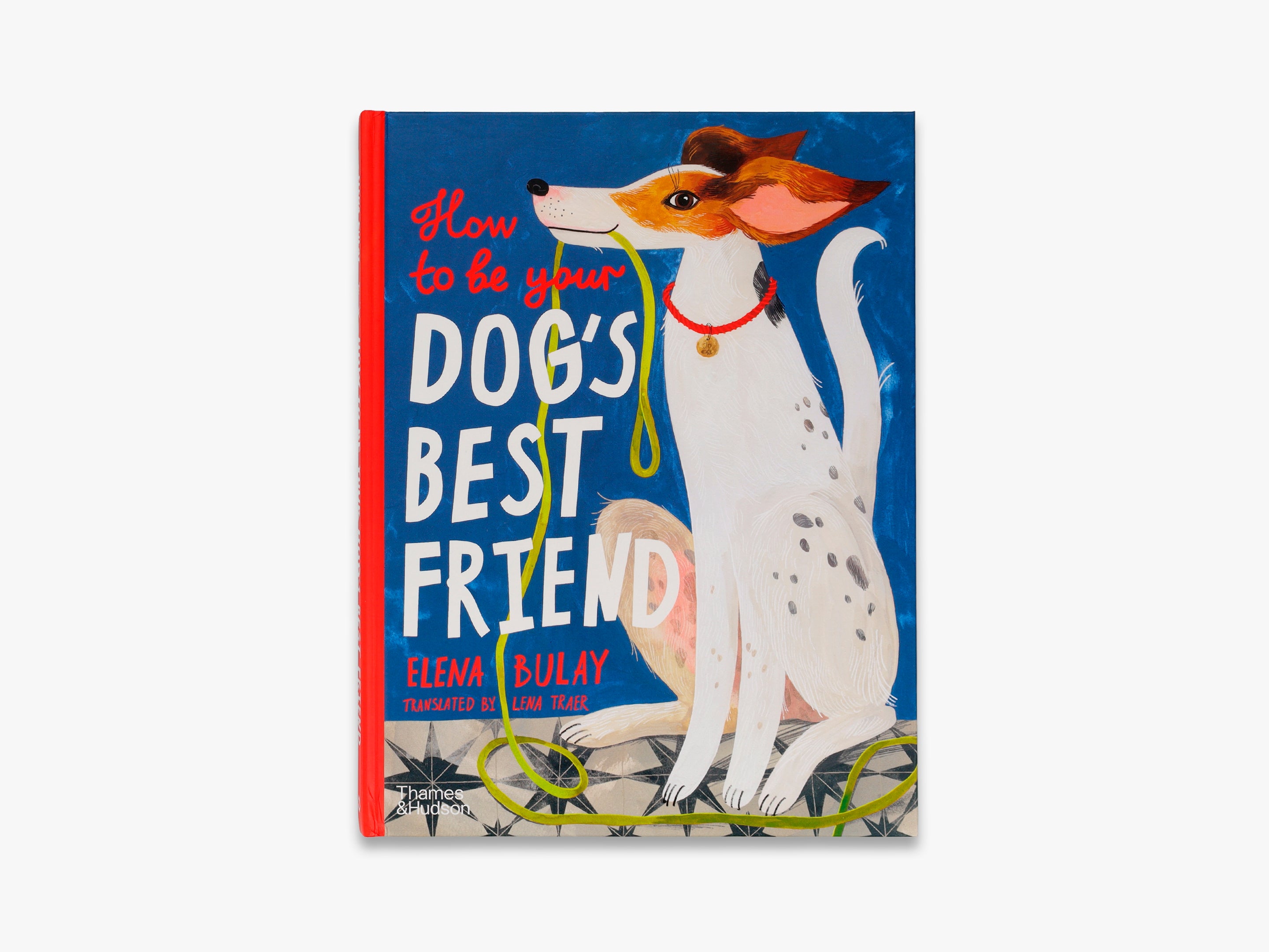 How to be Your Dog's Best Friend