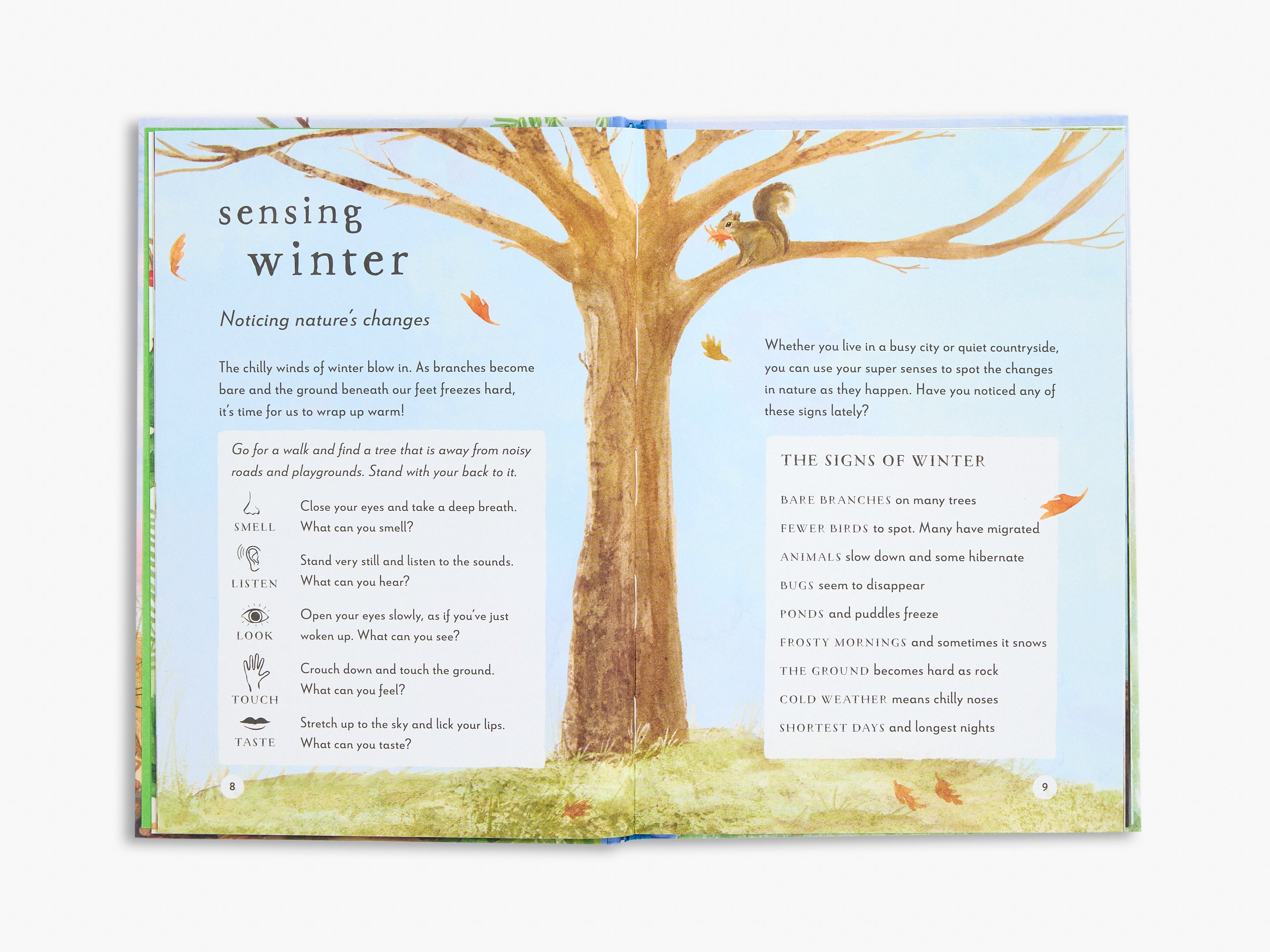 A Field Guide to Winter (Field Guide series)