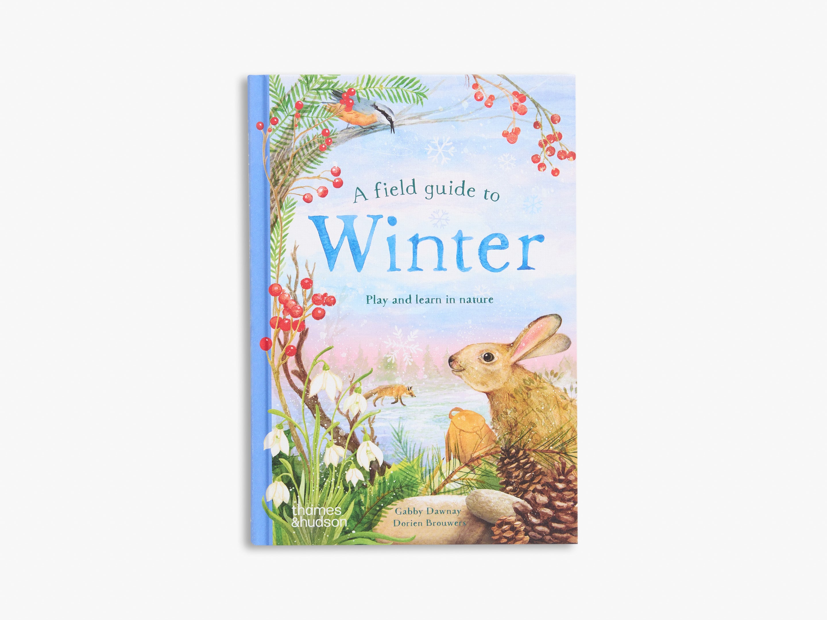 A Field Guide to Winter (Field Guide series)